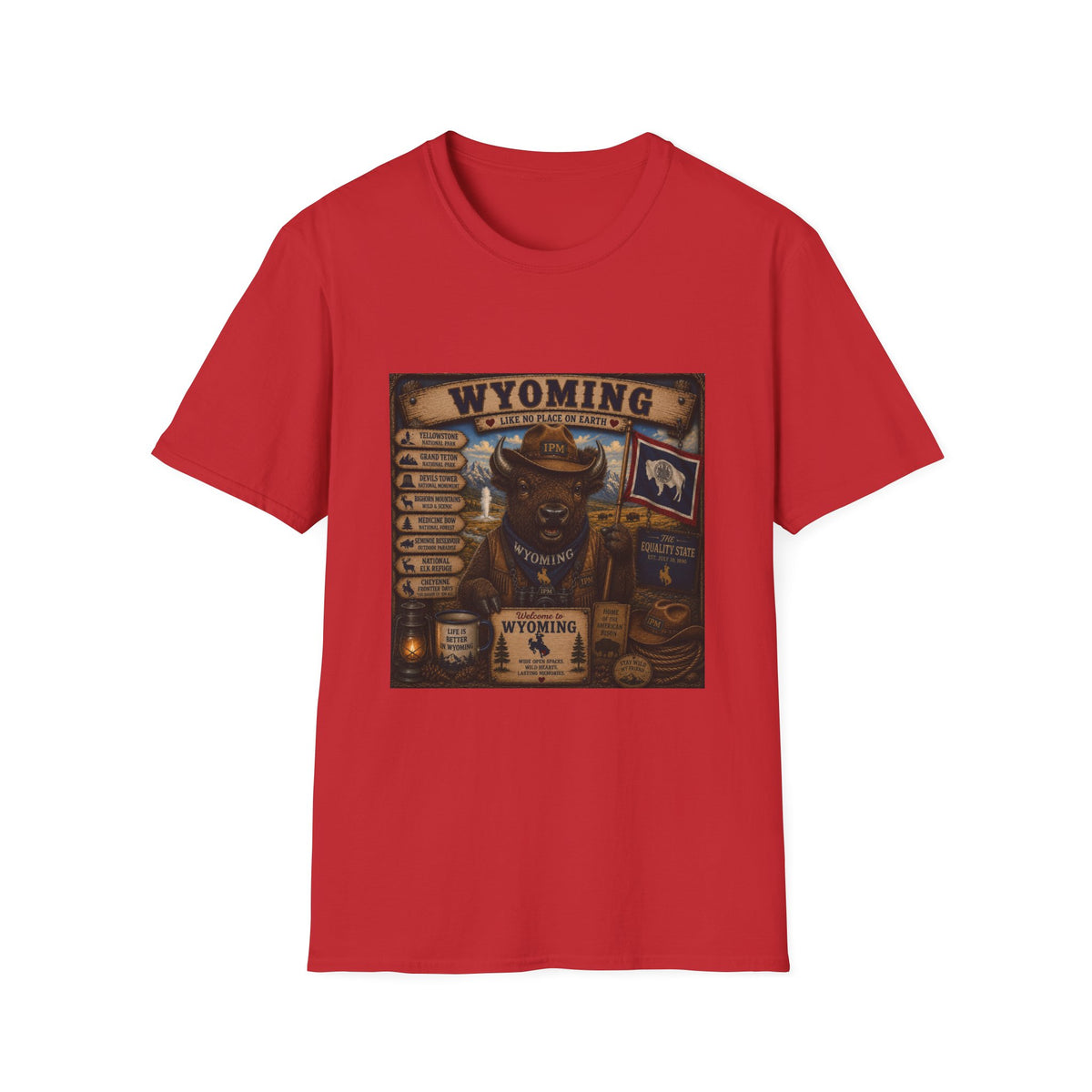 Wyoming Buffalo Vintage Graphic T‑Shirt — 'Wyoming: Like No Place on Earth' State Pride