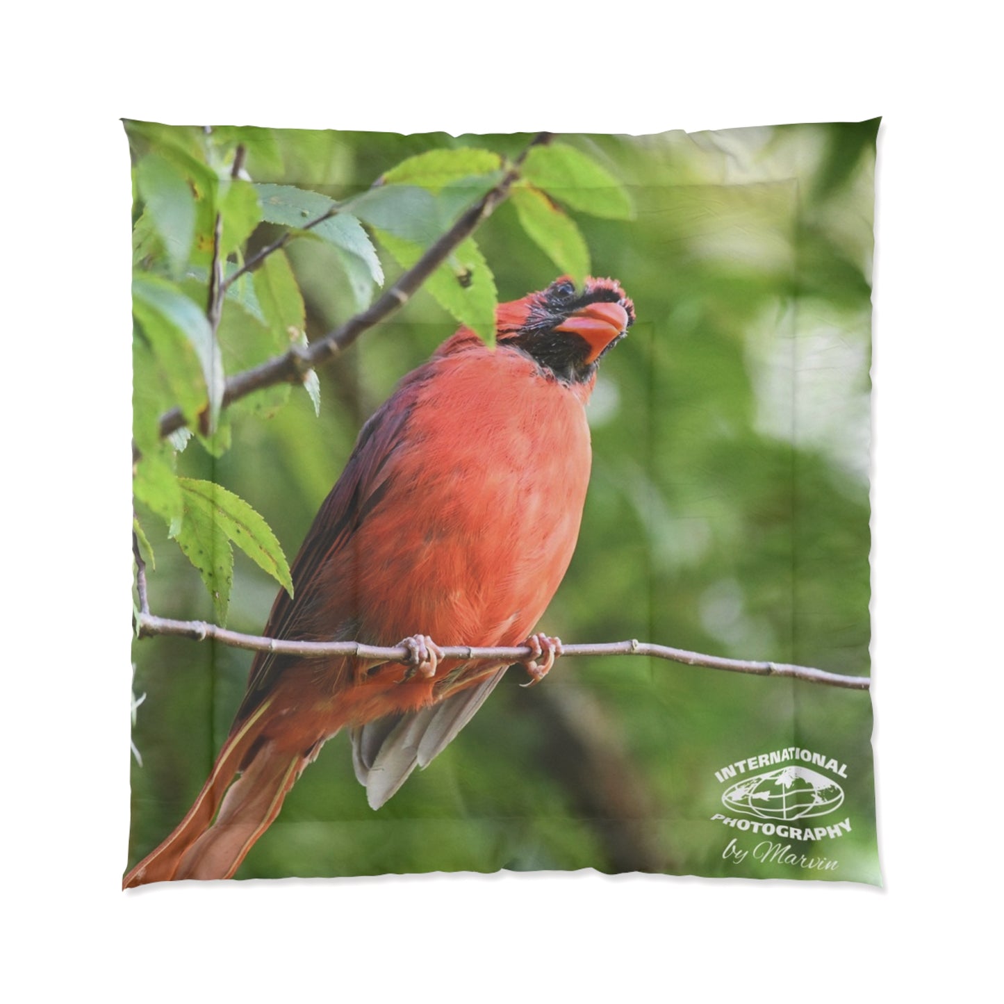 Cardinal Bird Comforter – Red Northern Cardinal Nature Print Bedding