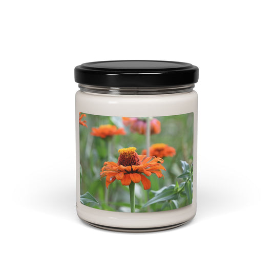 Scented Floral Soy Candle, Aromatherapy Candle, Home Décor, Gift for Her, Relaxation Candle, Eco-Friendly Home Fragrance