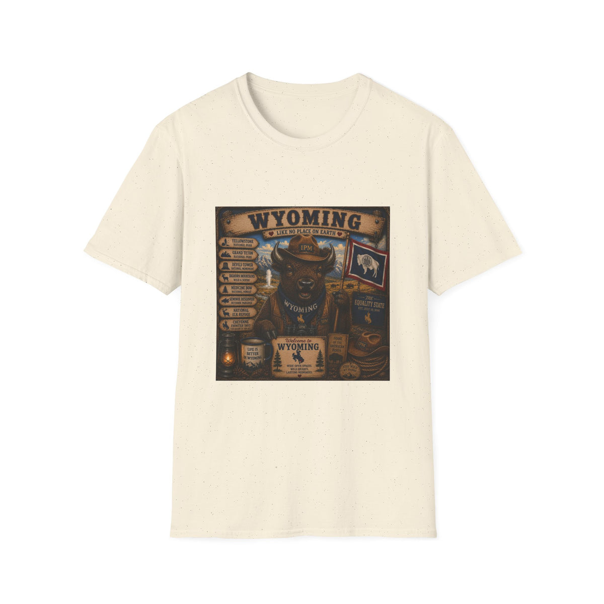 Wyoming Buffalo Vintage Graphic T‑Shirt — 'Wyoming: Like No Place on Earth' State Pride