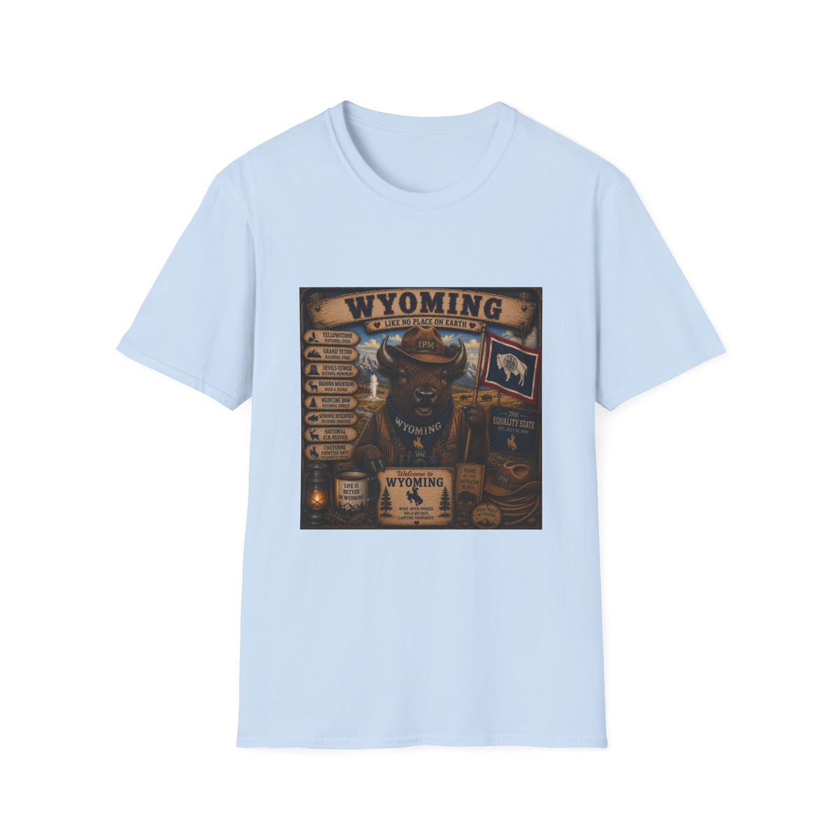 Wyoming Buffalo Vintage Graphic T‑Shirt — 'Wyoming: Like No Place on Earth' State Pride