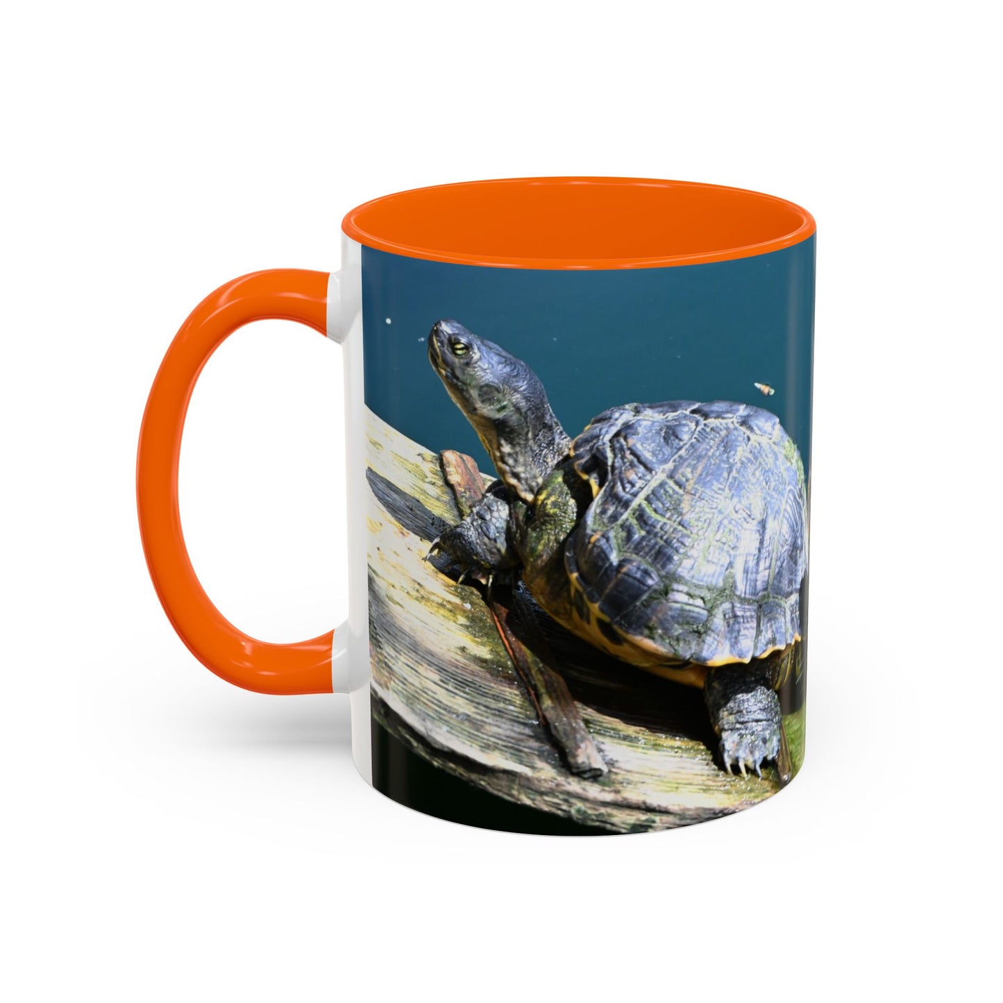 Friends Forever Turtle Accent Coffee Mug — 11/15oz Gift for Animal Lovers