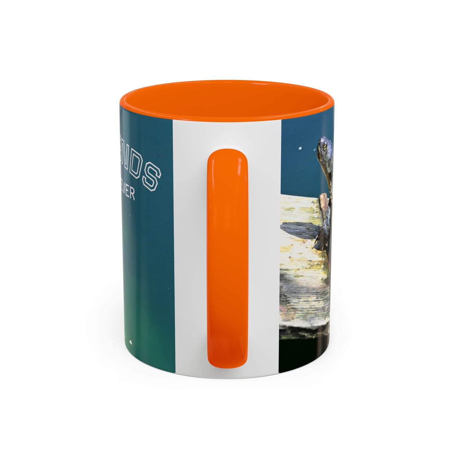 Friends Forever Turtle Accent Coffee Mug — 11/15oz Gift for Animal Lovers