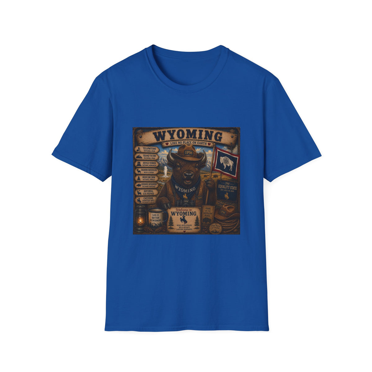 Wyoming Buffalo Vintage Graphic T‑Shirt — 'Wyoming: Like No Place on Earth' State Pride