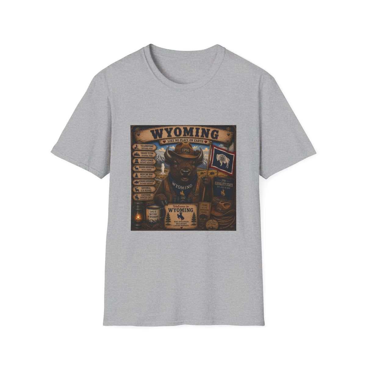 Wyoming Buffalo Vintage Graphic T‑Shirt — 'Wyoming: Like No Place on Earth' State Pride