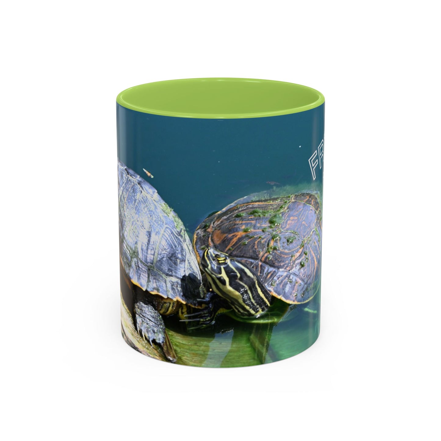Friends Forever Turtle Accent Coffee Mug — 11/15oz Gift for Animal Lovers