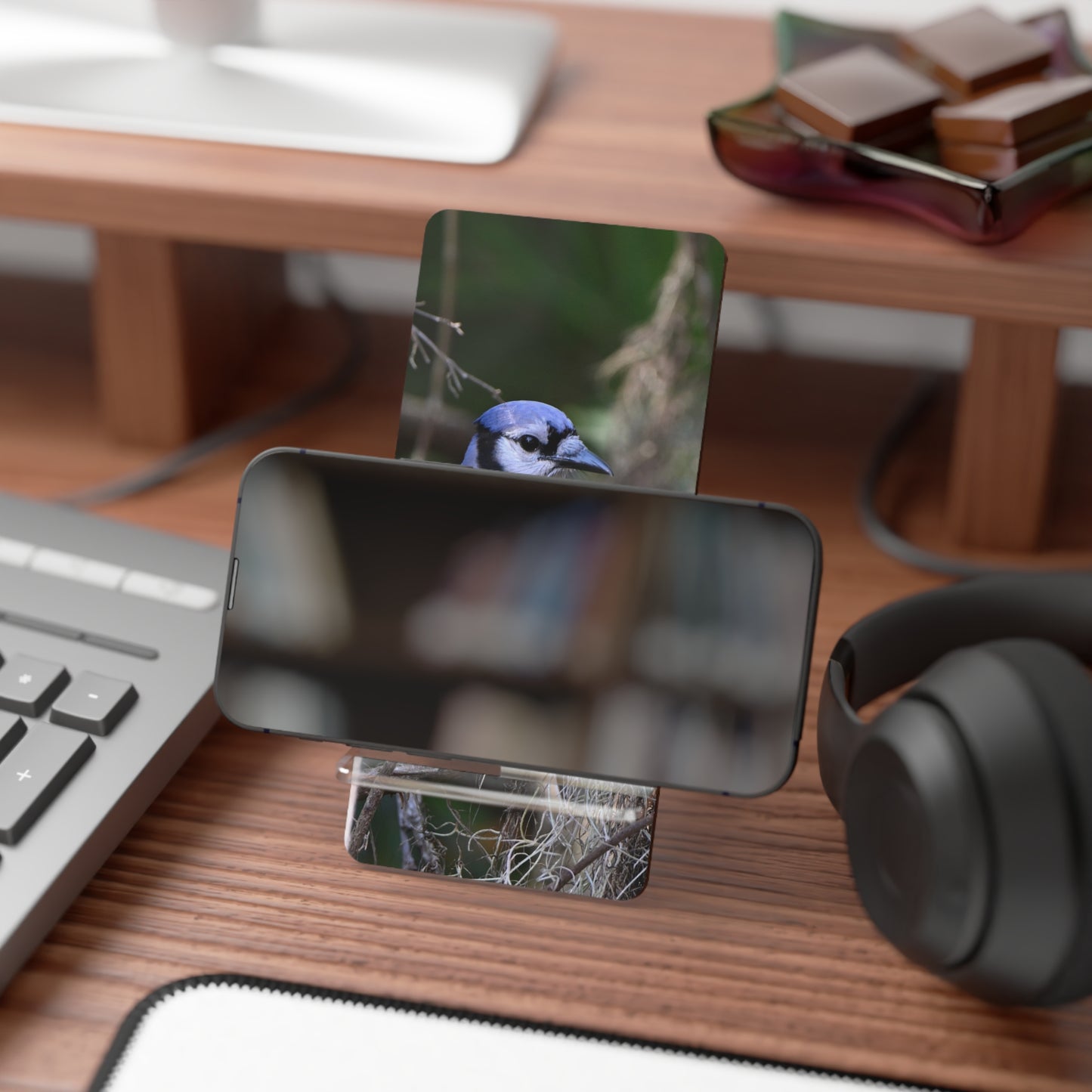 Blue Jay Photo Phone Stand — Clear Acrylic Mobile Display Stand