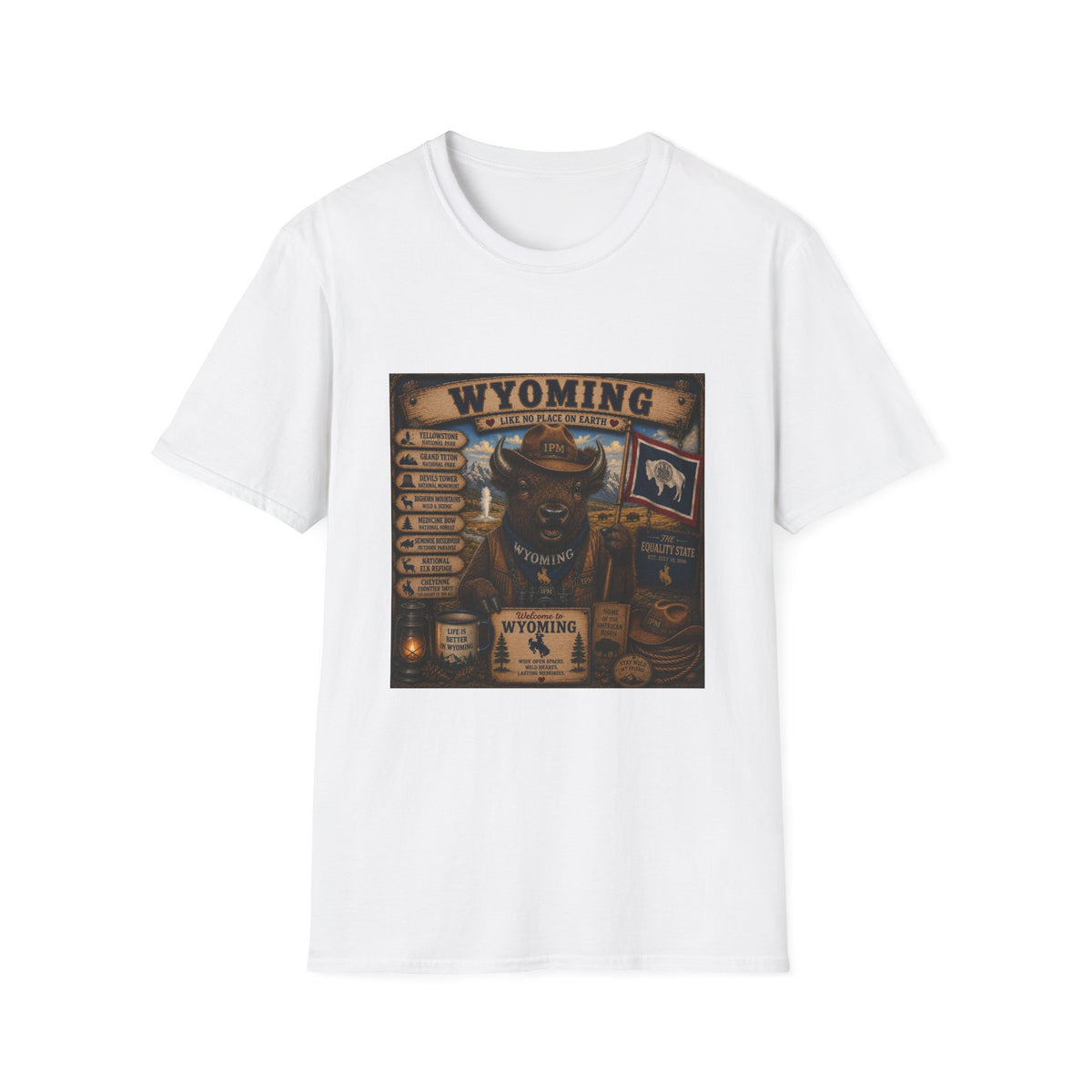 Wyoming Buffalo Vintage Graphic T‑Shirt — 'Wyoming: Like No Place on Earth' State Pride
