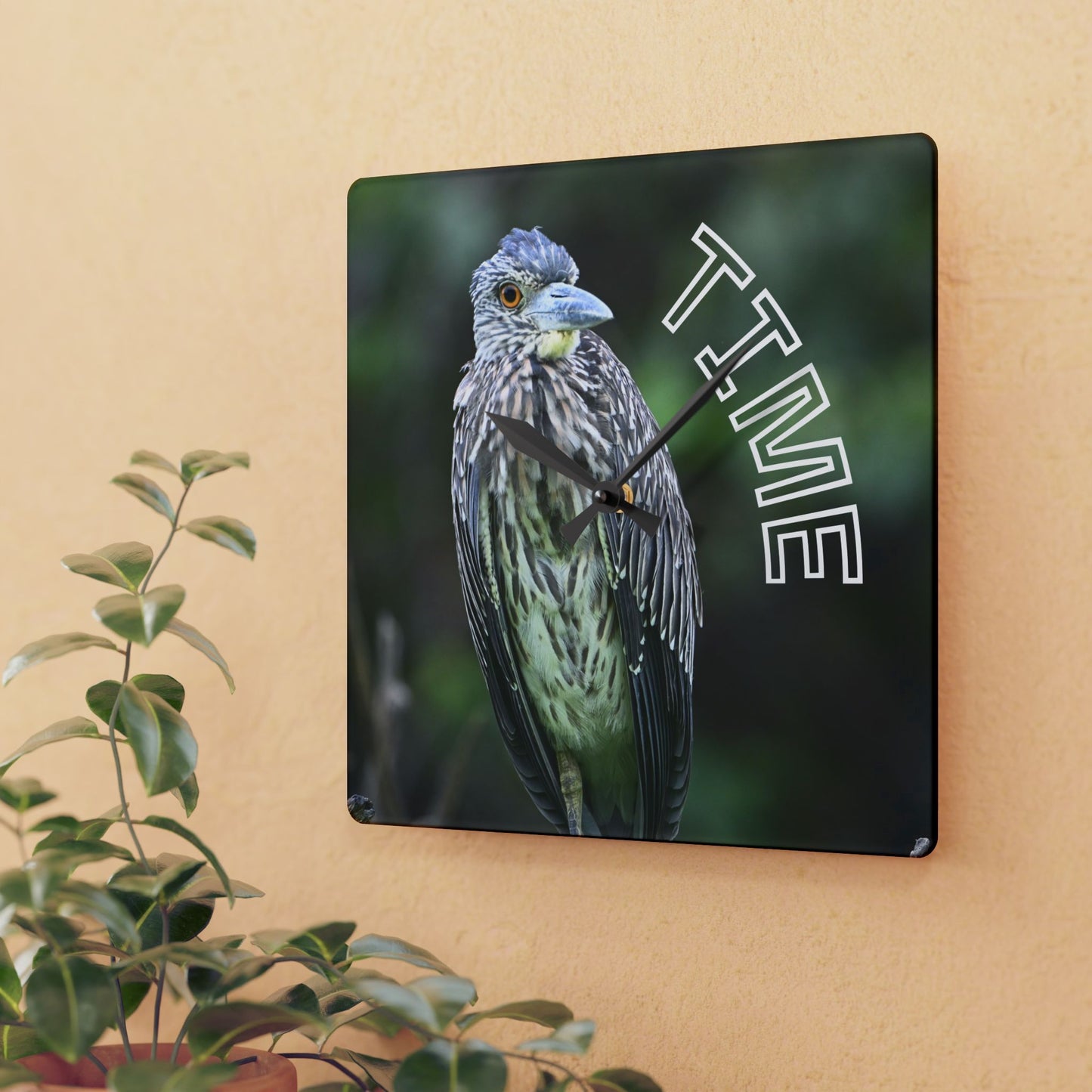 Acrylic Wall Clock — Bird Photo "TIME" Decorative Wall Clock for Nature Lovers