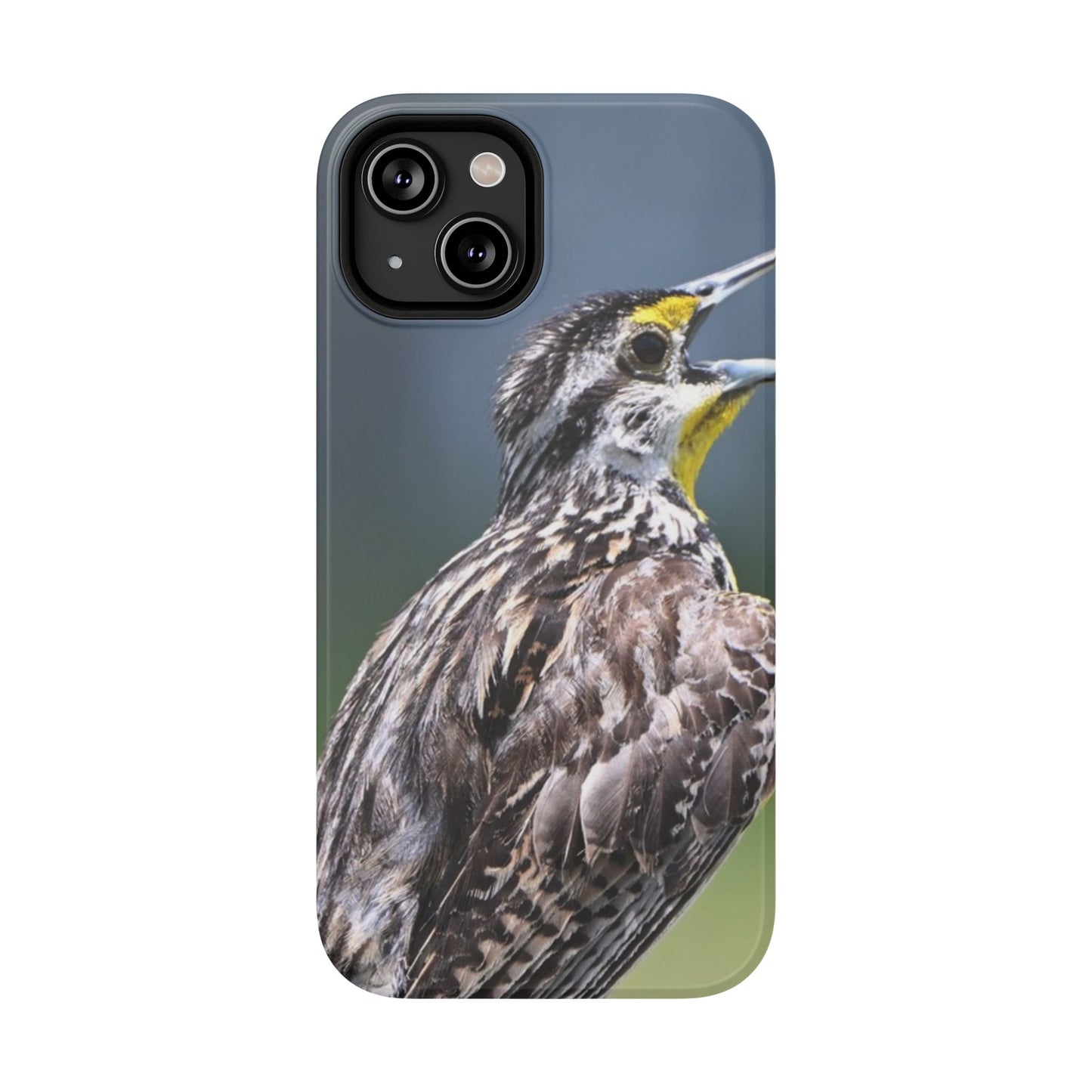 Western Meadowlark Photo Phone Case — Impact-Resistant Protective Cover