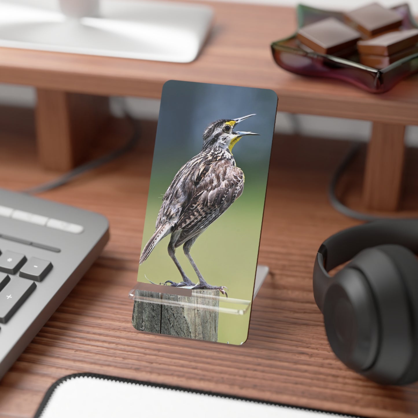 Phone Stand – Meadowlark Smartphone Display Stand (Bird Photography Design)