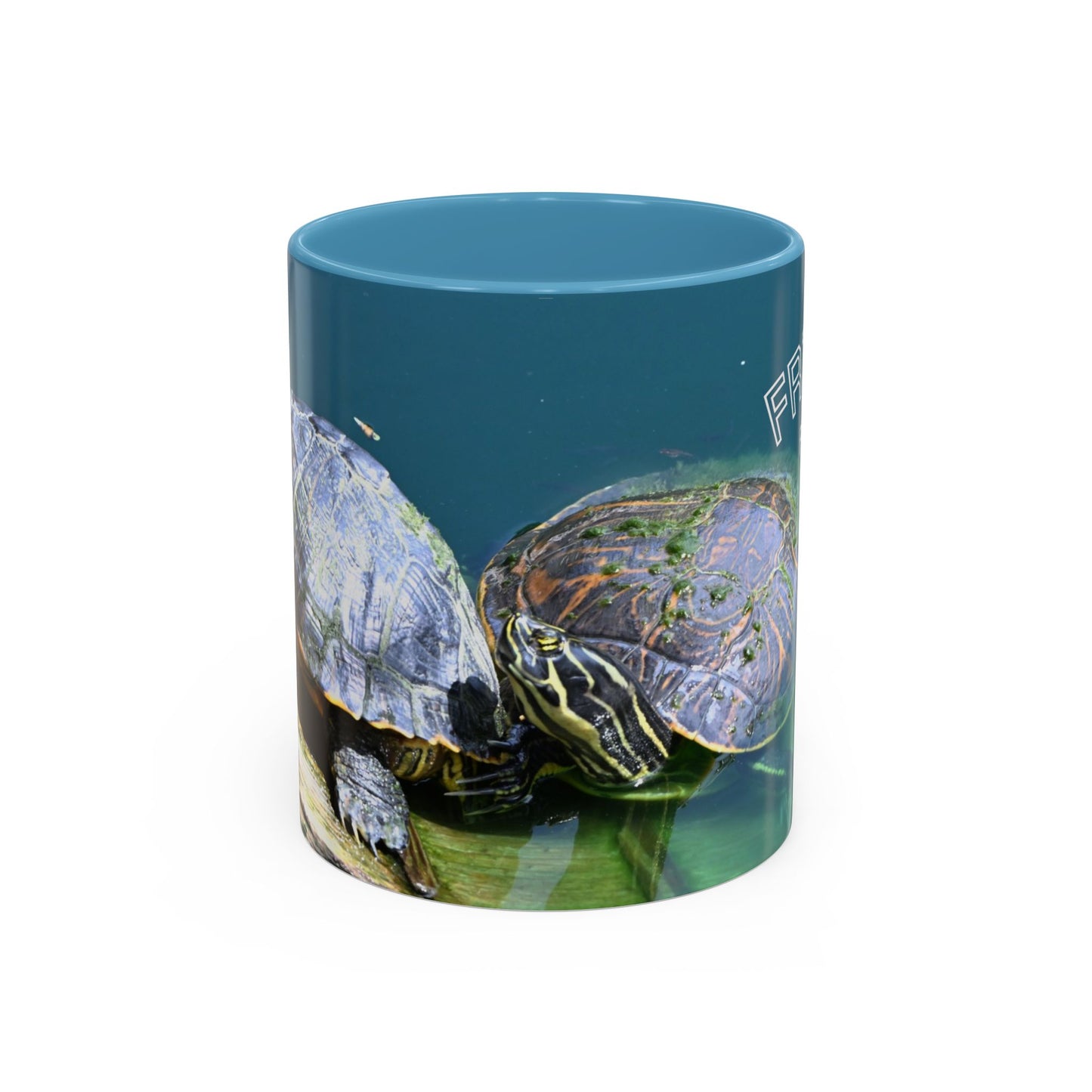 Friends Forever Turtle Accent Coffee Mug — 11/15oz Gift for Animal Lovers
