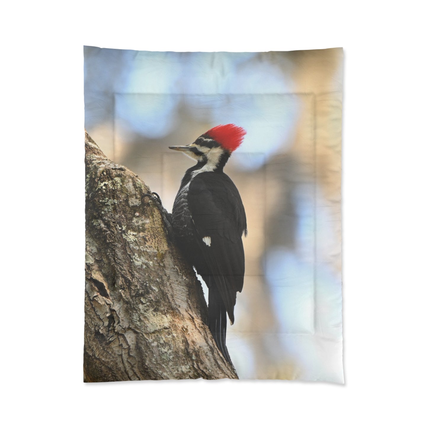 Pileated Woodpecker Comforter – Nature Photography Bedding