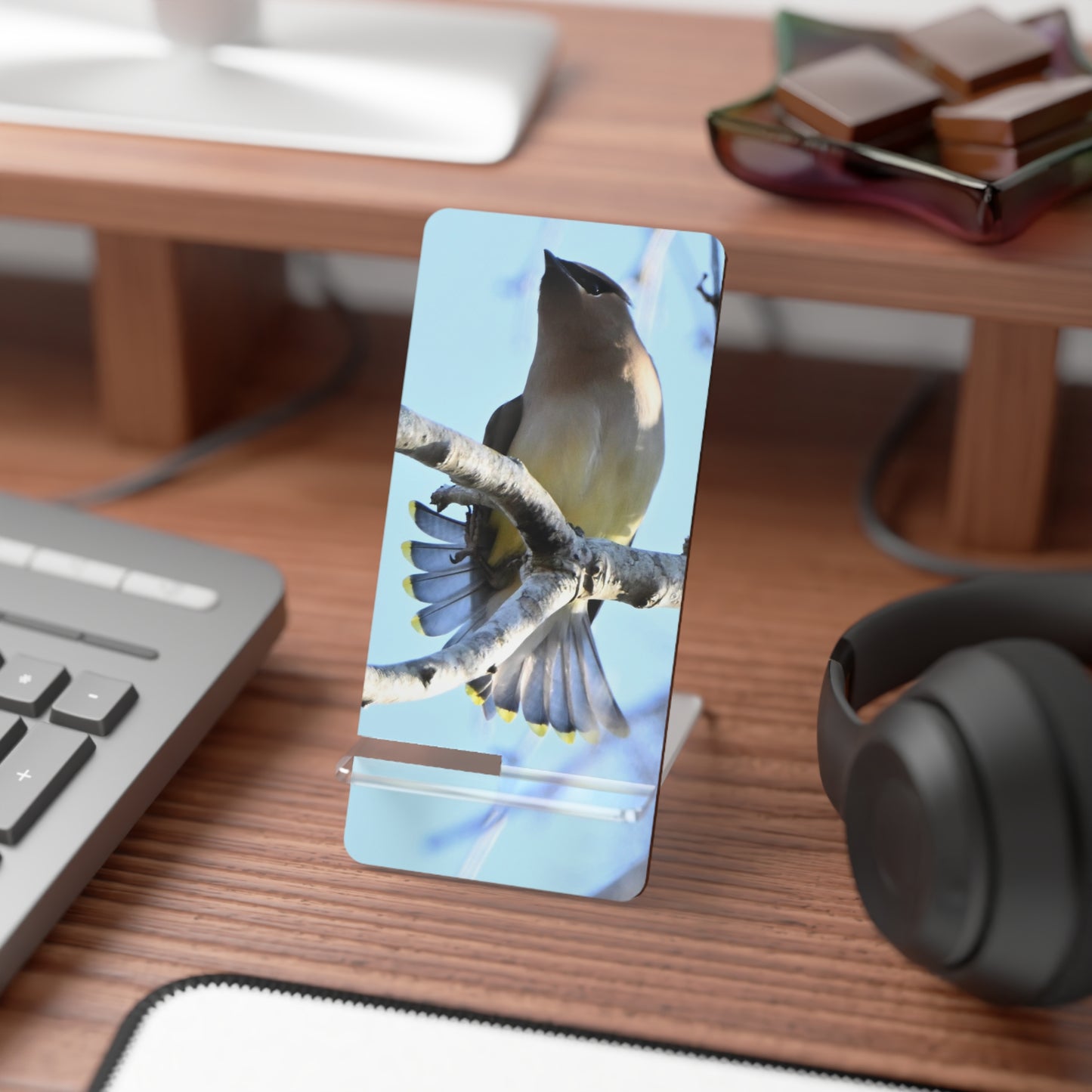 Acrylic Phone Stand with Cedar Waxwing Bird Photo — Decorative Mobile Display Stand