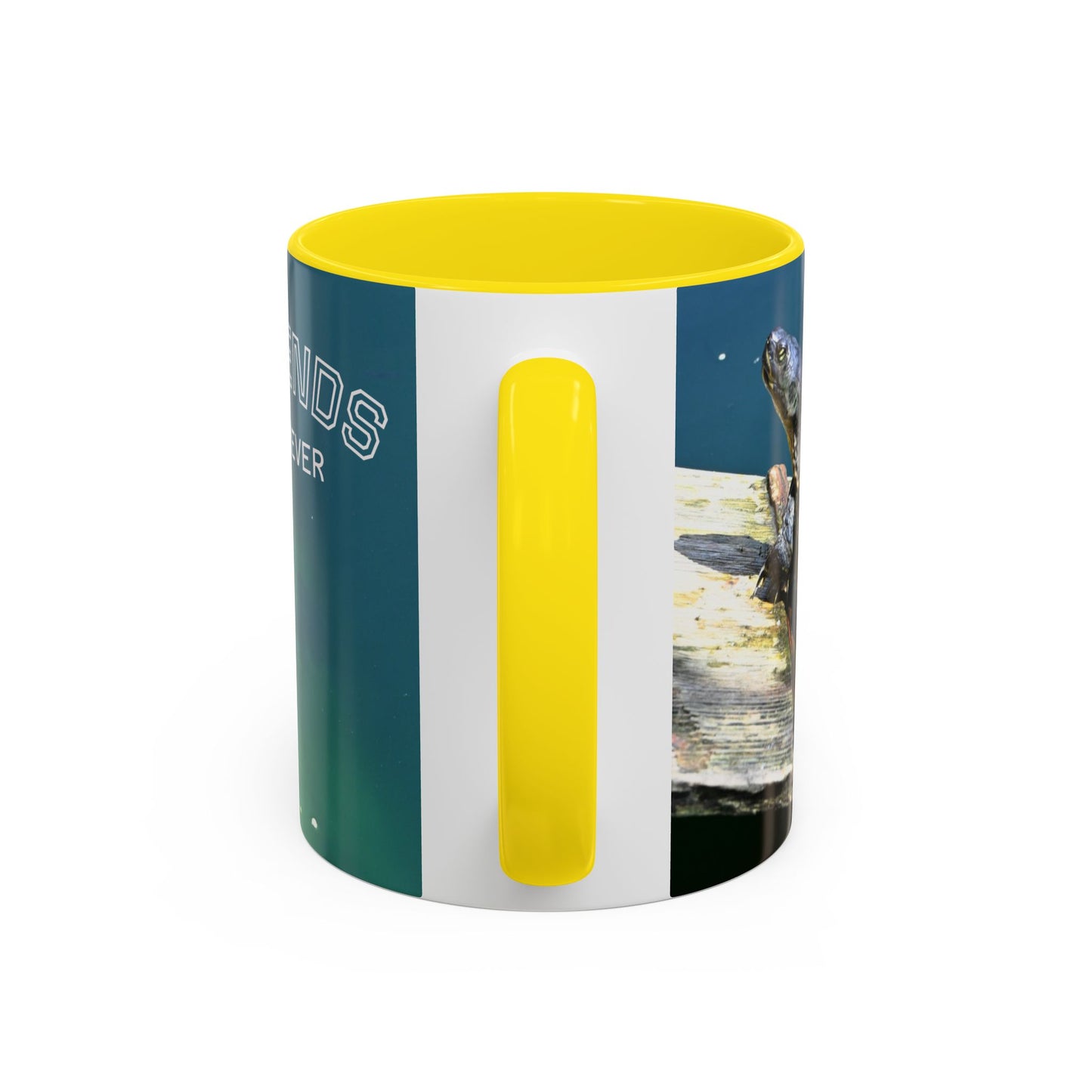 Friends Forever Turtle Accent Coffee Mug — 11/15oz Gift for Animal Lovers