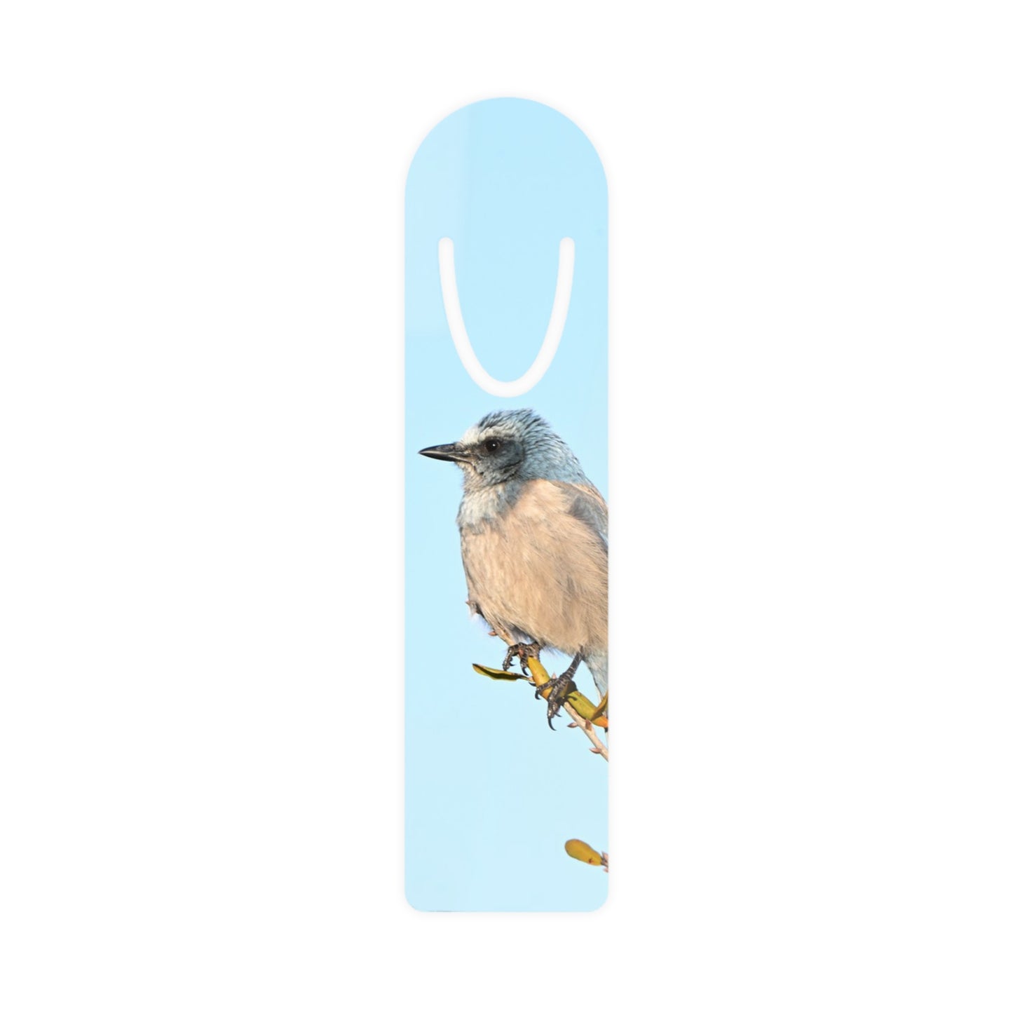 Bird Illustration Bookmark — Blue Jay Art Bookmark for Book Lovers