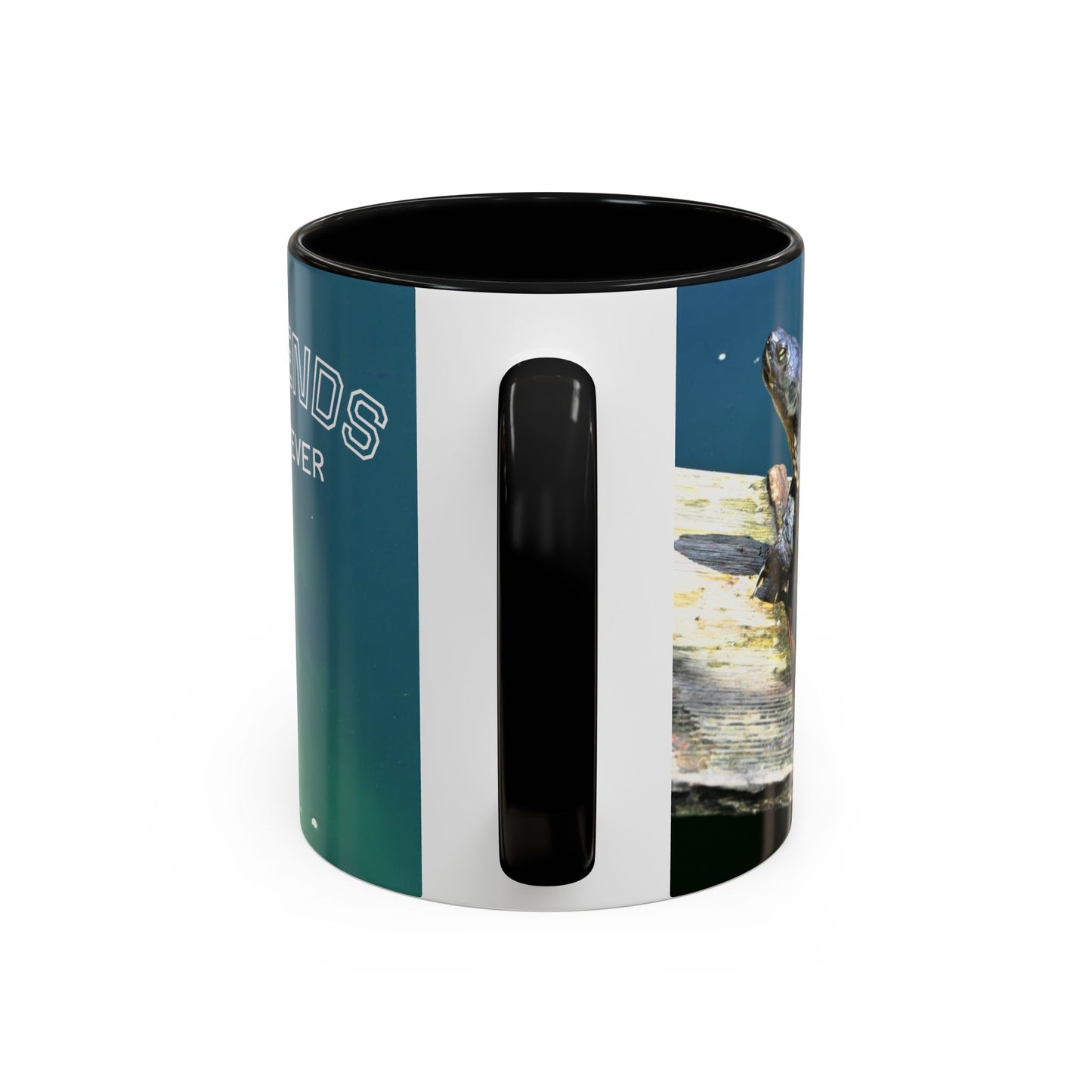 Friends Forever Turtle Accent Coffee Mug — 11/15oz Gift for Animal Lovers