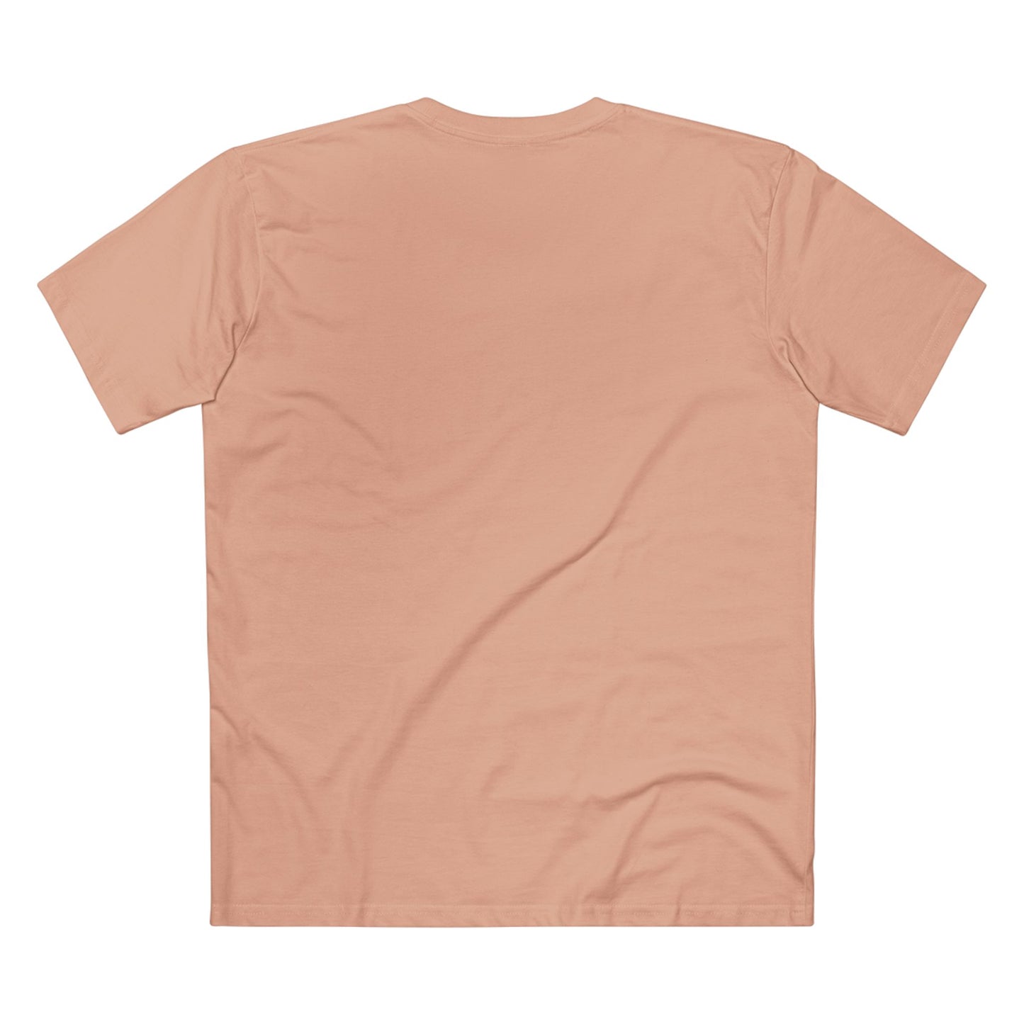 Turtle Photo Tee — 'Hold Your Head Up' Graphic Shirt