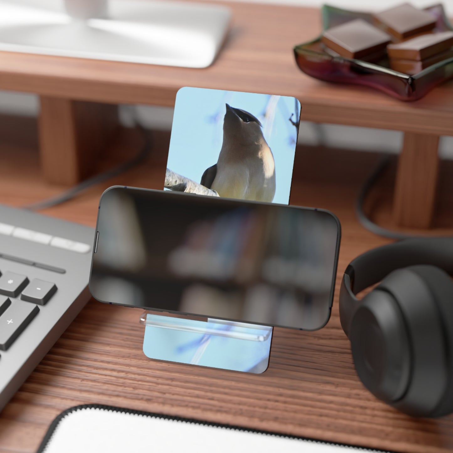 Acrylic Phone Stand with Cedar Waxwing Bird Photo — Decorative Mobile Display Stand
