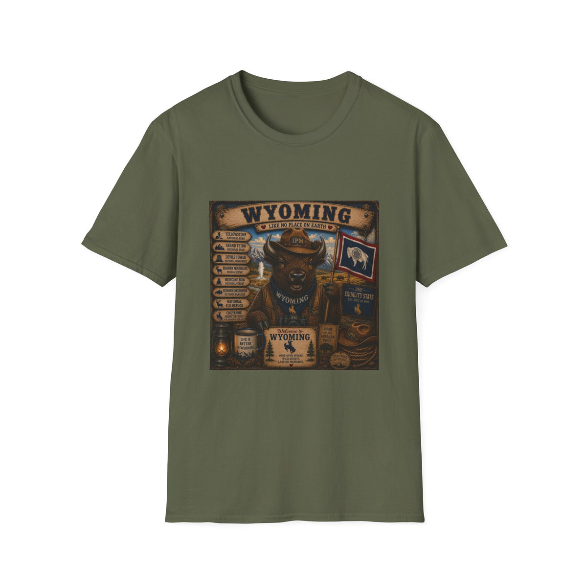 Wyoming Buffalo Vintage Graphic T‑Shirt — 'Wyoming: Like No Place on Earth' State Pride