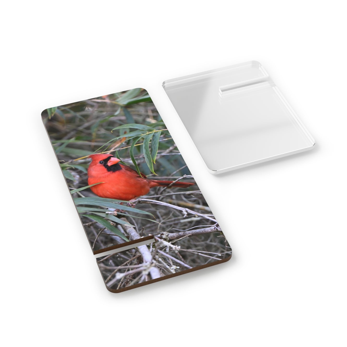 Cardinal Photo Phone Stand — Foldable Mobile Display Stand for Smartphones