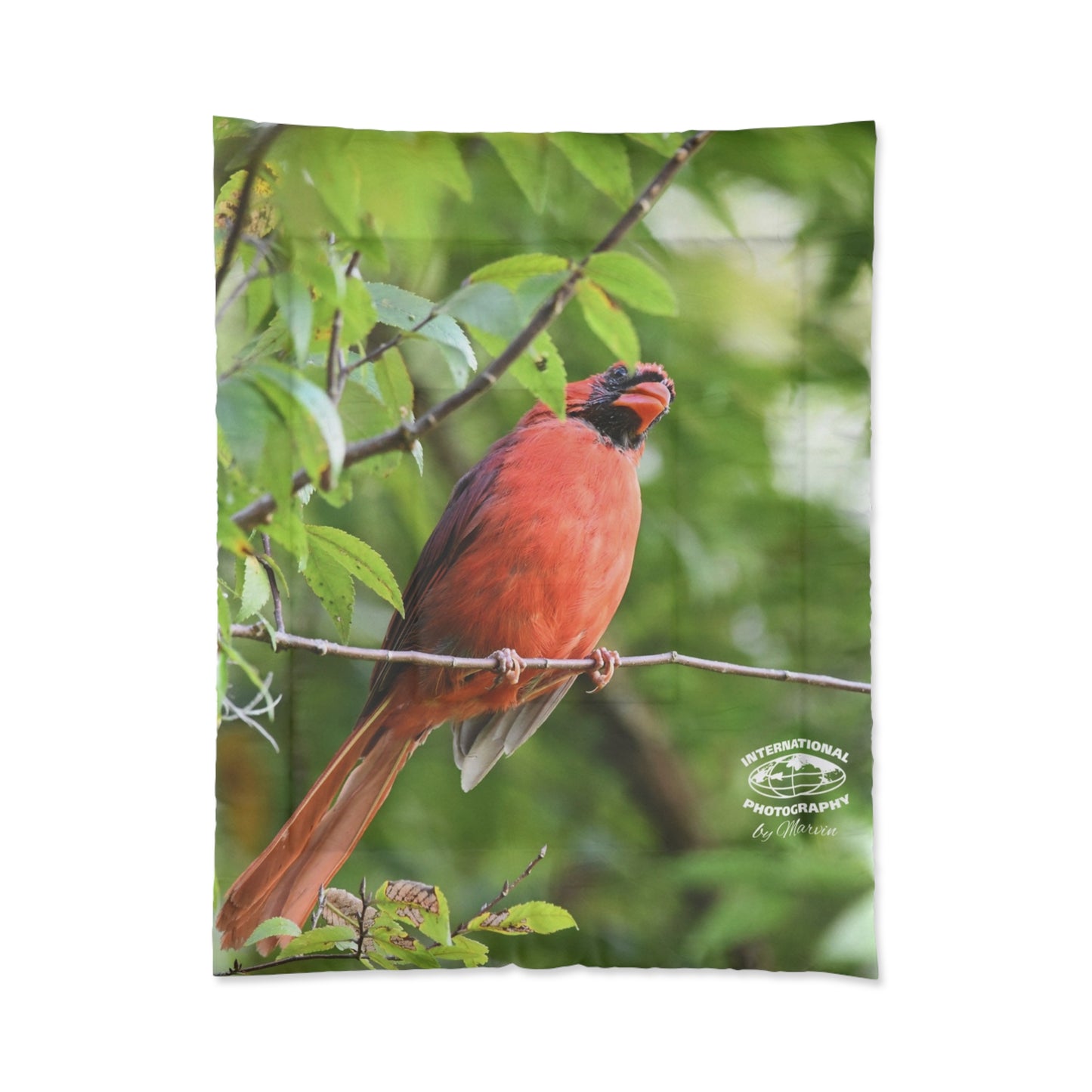 Cardinal Bird Comforter – Red Northern Cardinal Nature Print Bedding