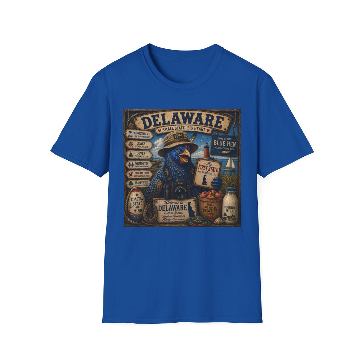 Delaware Blue Hen Vintage State Pride T-Shirt