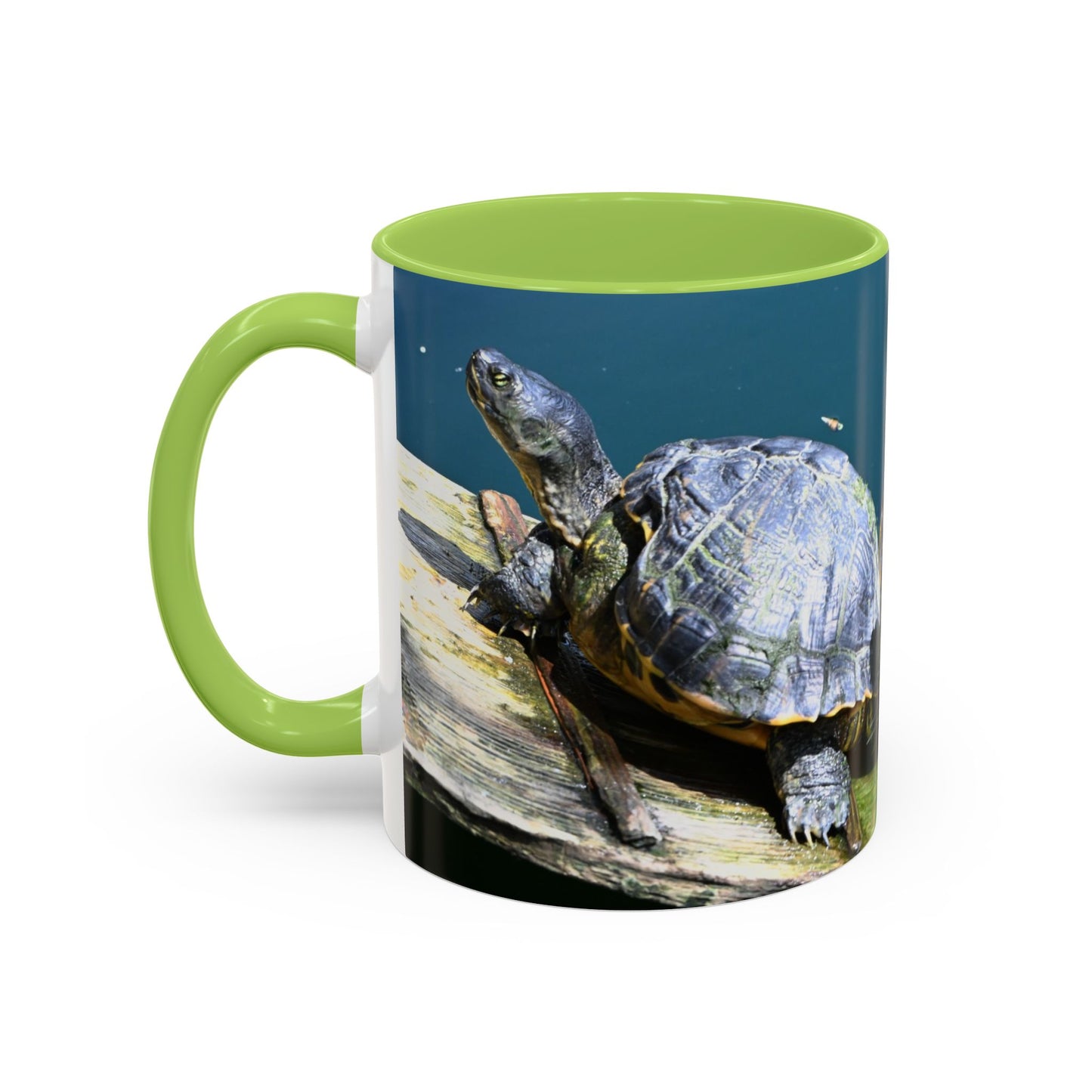 Friends Forever Turtle Accent Coffee Mug — 11/15oz Gift for Animal Lovers
