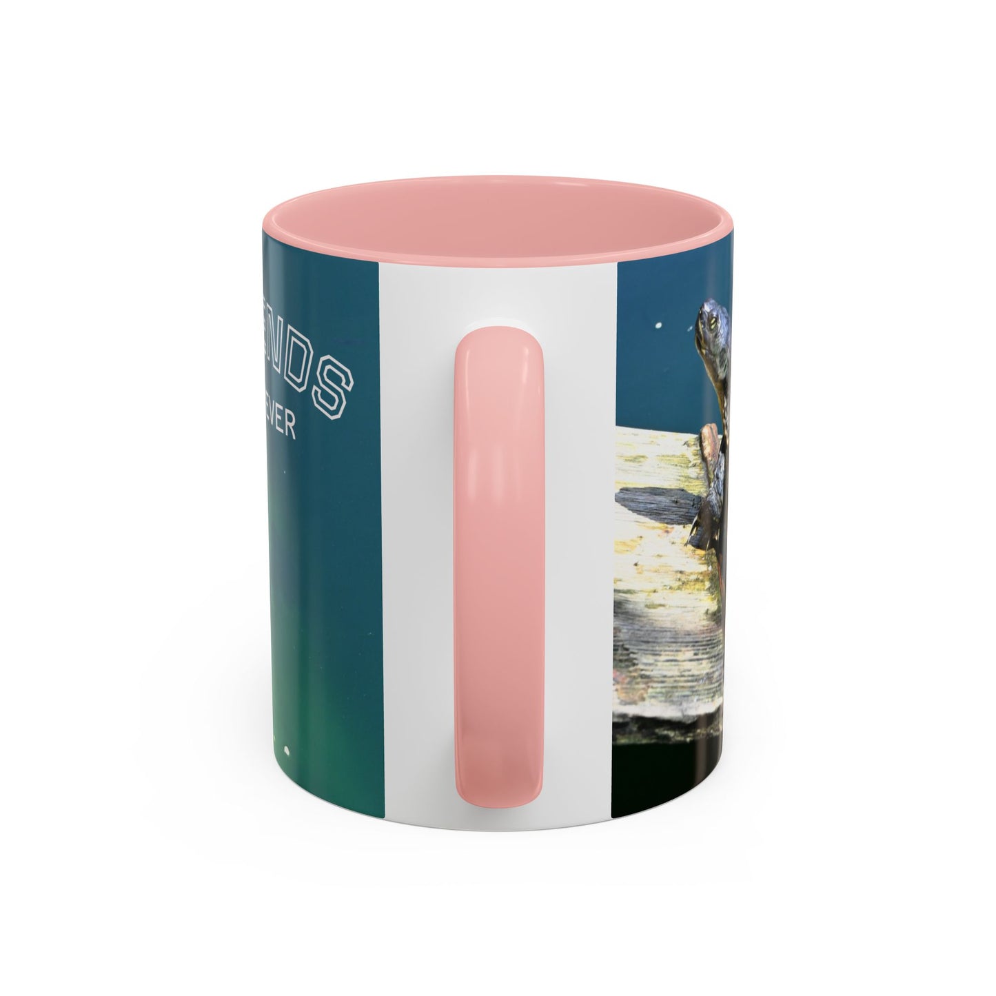 Friends Forever Turtle Accent Coffee Mug — 11/15oz Gift for Animal Lovers
