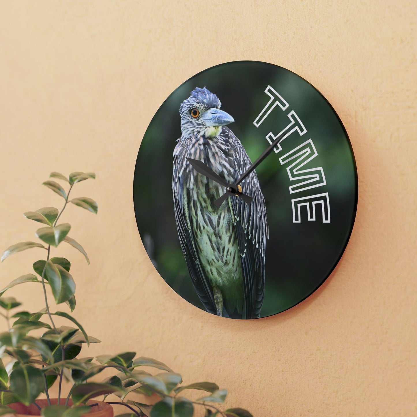 Acrylic Wall Clock — Bird Photo "TIME" Decorative Wall Clock for Nature Lovers