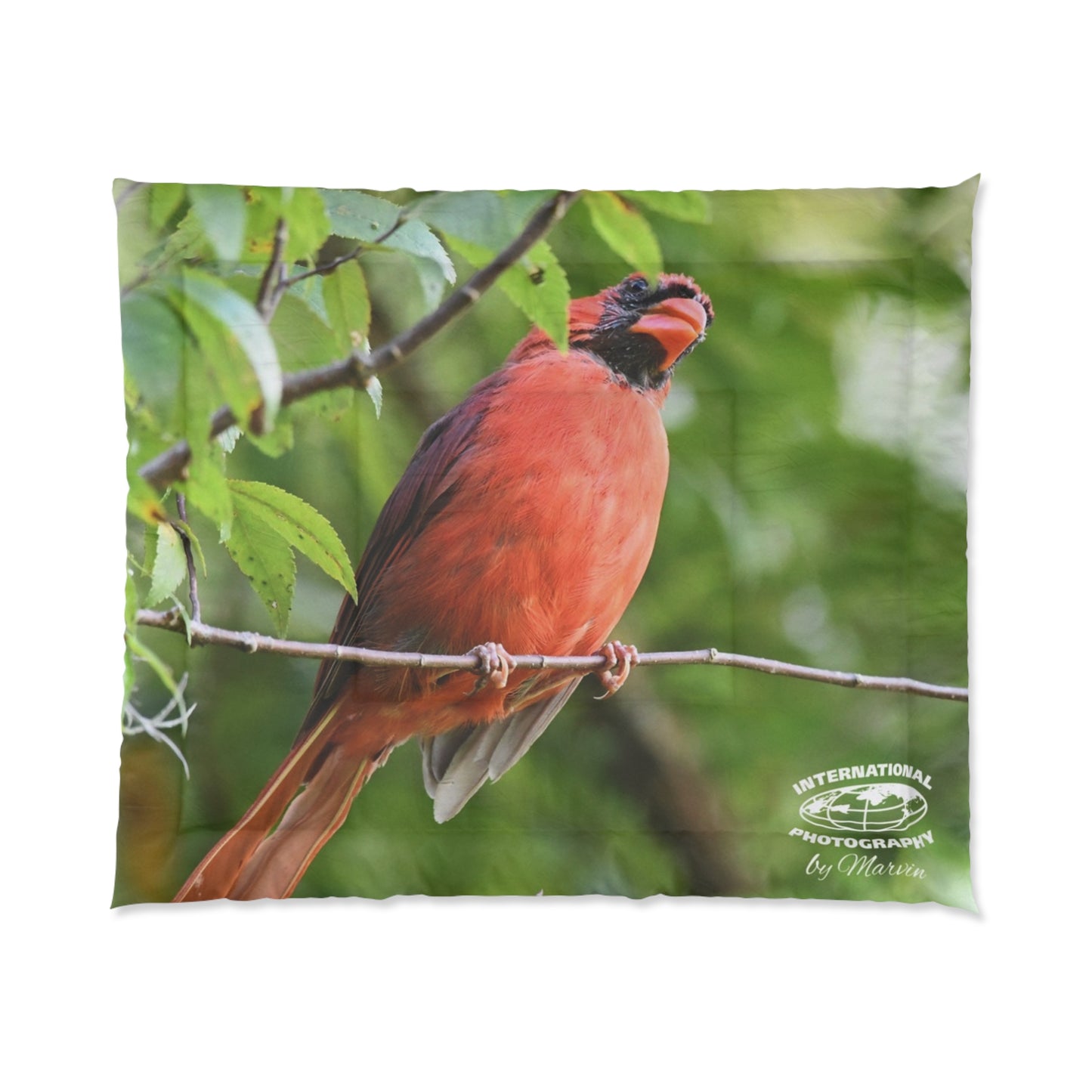 Cardinal Bird Comforter – Red Northern Cardinal Nature Print Bedding