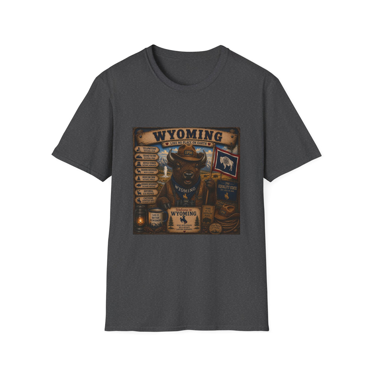 Wyoming Buffalo Vintage Graphic T‑Shirt — 'Wyoming: Like No Place on Earth' State Pride