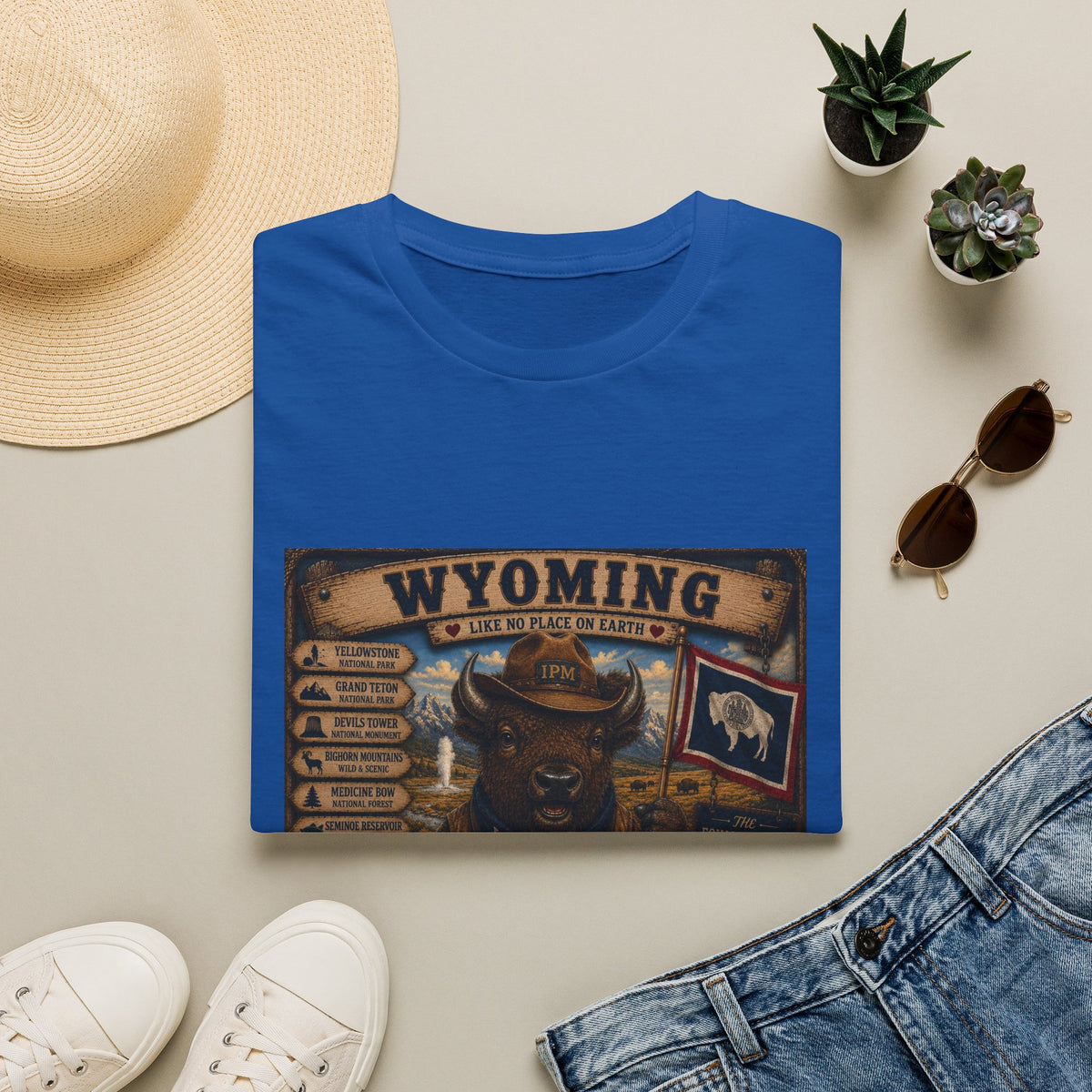 Wyoming Buffalo Vintage Graphic T‑Shirt — 'Wyoming: Like No Place on Earth' State Pride