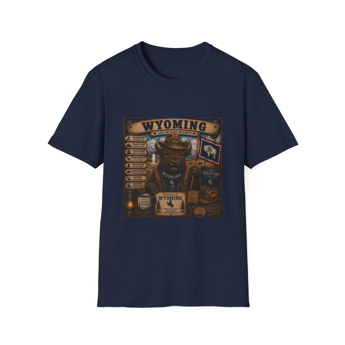 Wyoming Buffalo Vintage Graphic T‑Shirt — 'Wyoming: Like No Place on Earth' State Pride