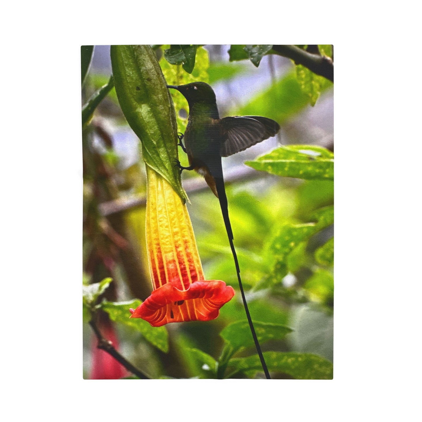 Hummingbird & Trumpet Flower Velveteen Plush Blanket — Soft Nature Throw