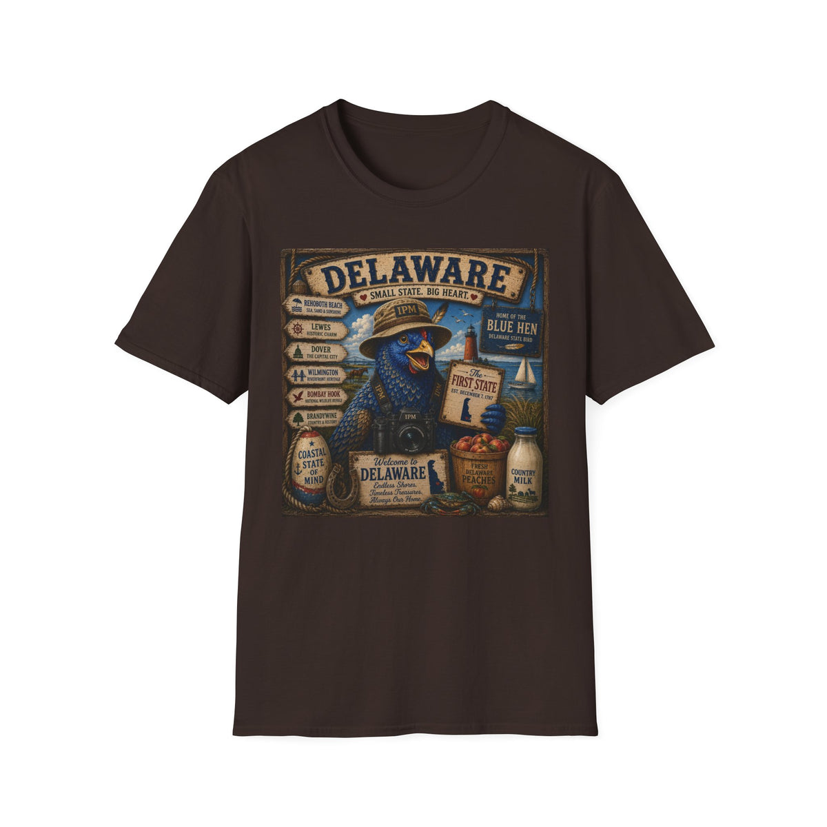 Delaware Blue Hen Vintage State Pride T-Shirt