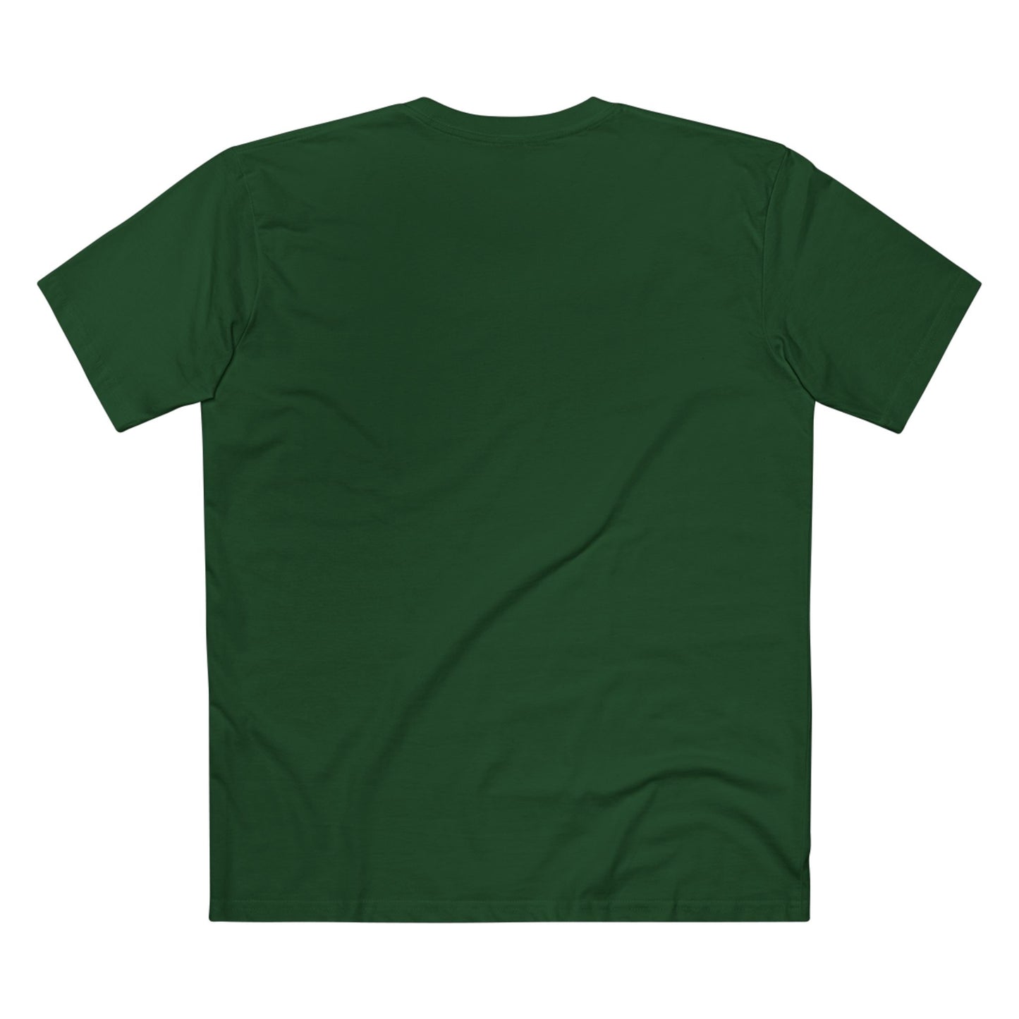Turtle Photo Tee — 'Hold Your Head Up' Graphic Shirt