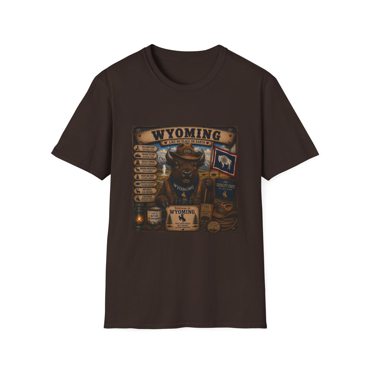 Wyoming Buffalo Vintage Graphic T‑Shirt — 'Wyoming: Like No Place on Earth' State Pride