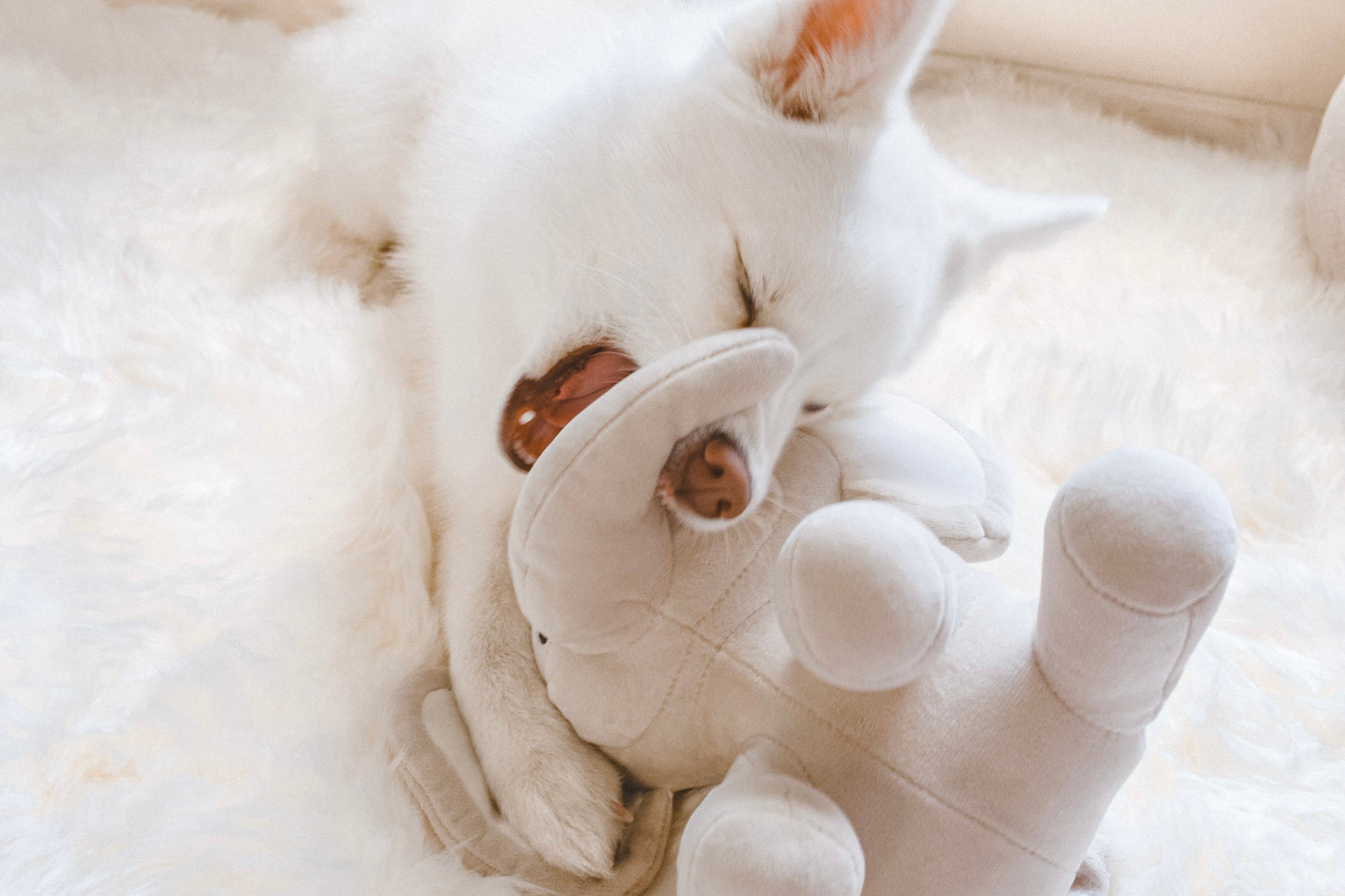 Ella Plushie