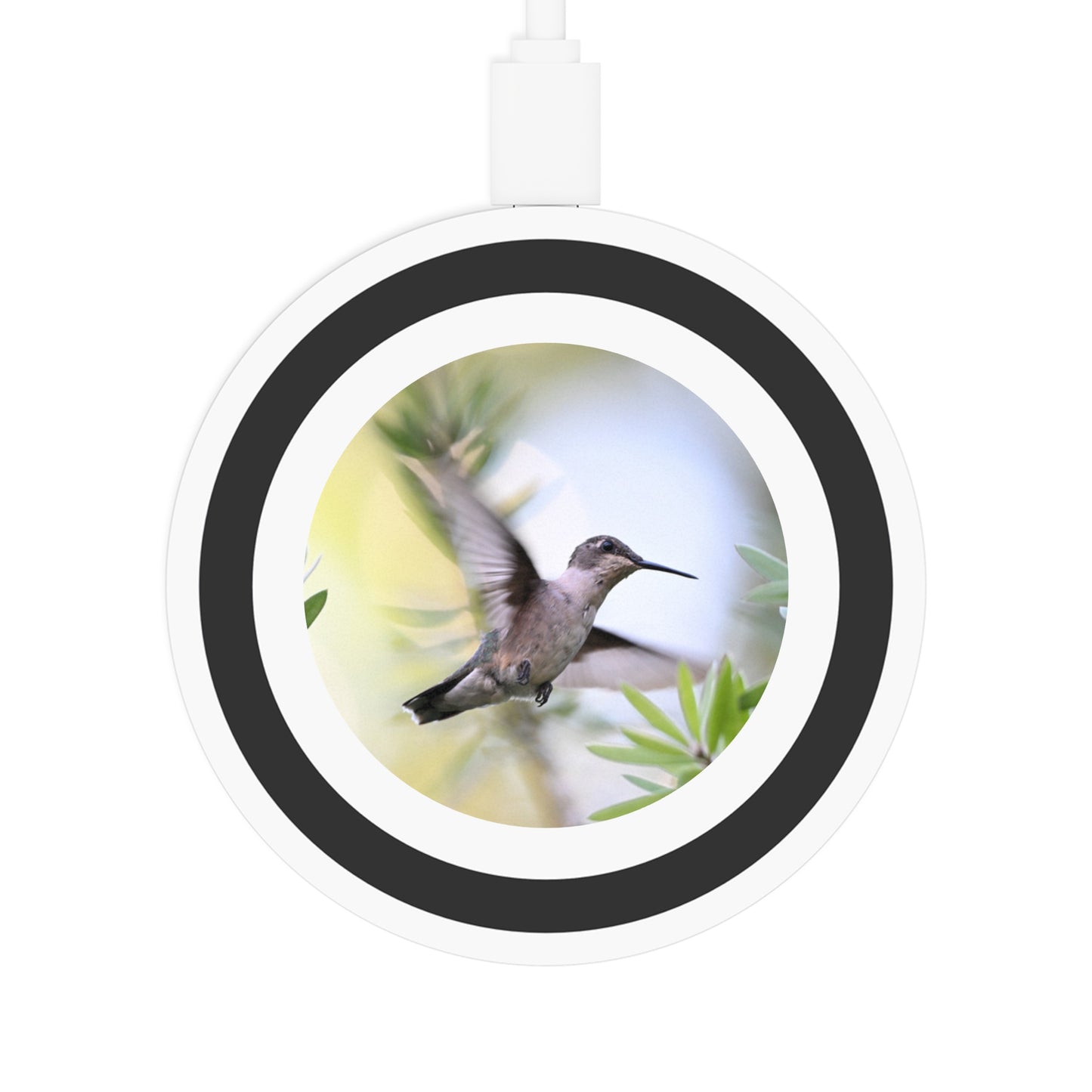 Hummingbird Wireless Charging Pad — Fast Qi Phone Charger with Blue Accent
