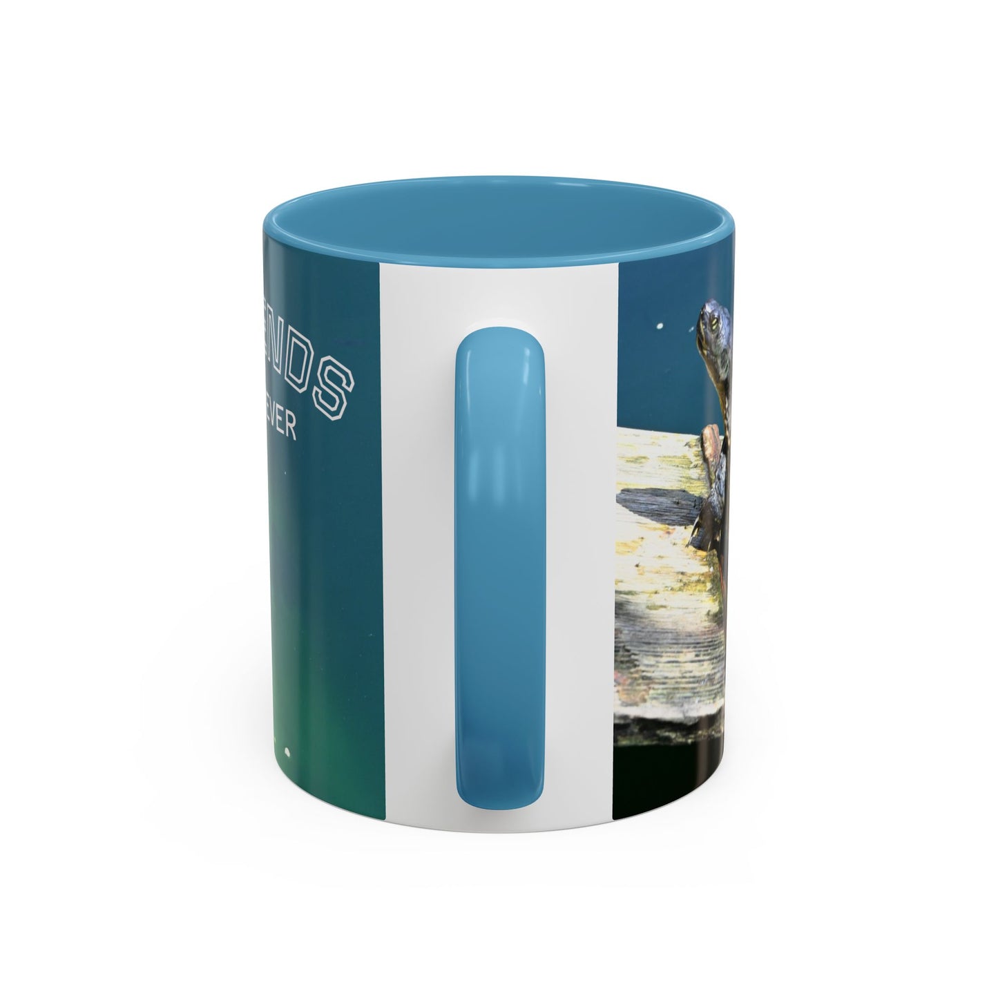 Friends Forever Turtle Accent Coffee Mug — 11/15oz Gift for Animal Lovers