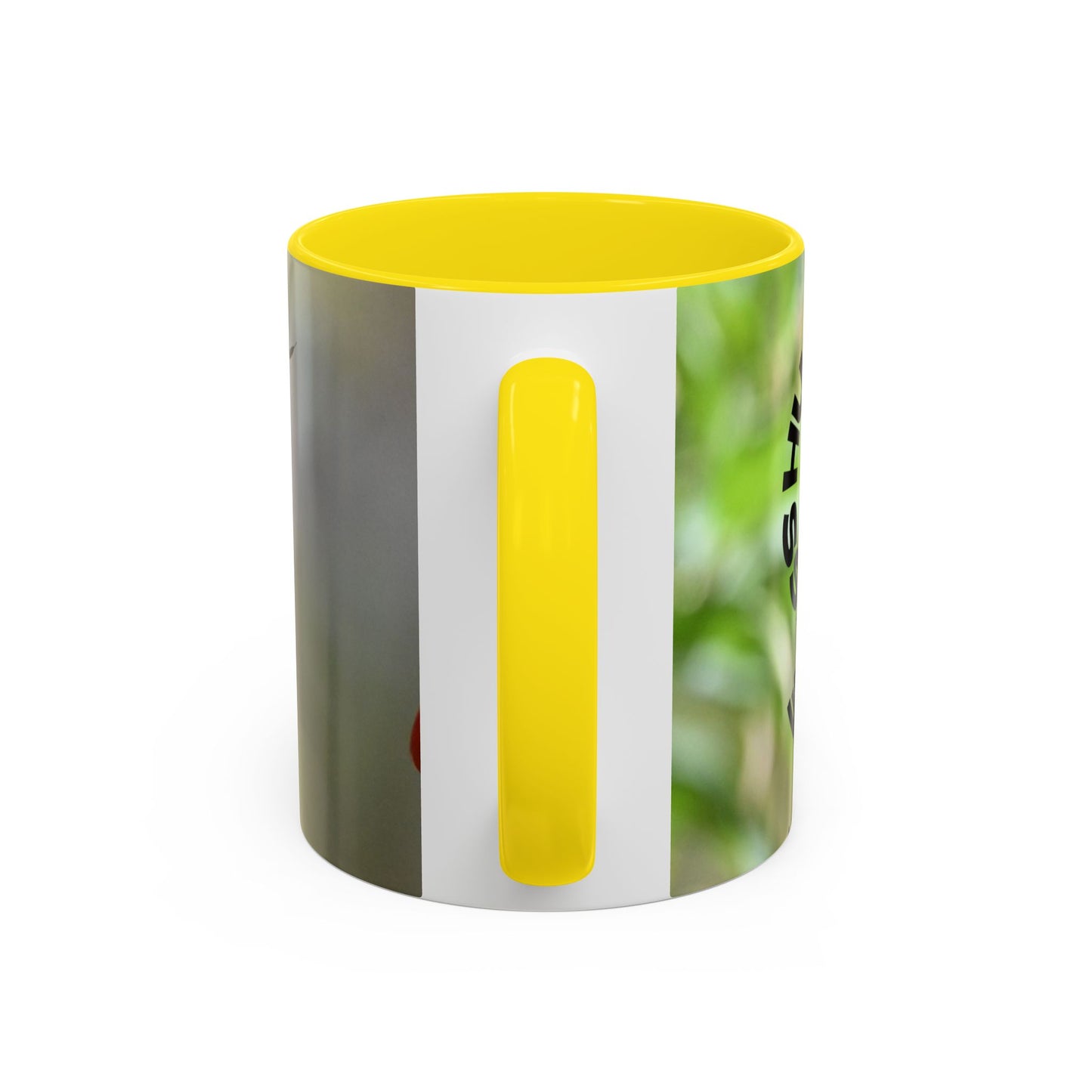 Hummingbird Accent Coffee Mug – 11/15oz Ceramic Mug with Black Interior & Handle