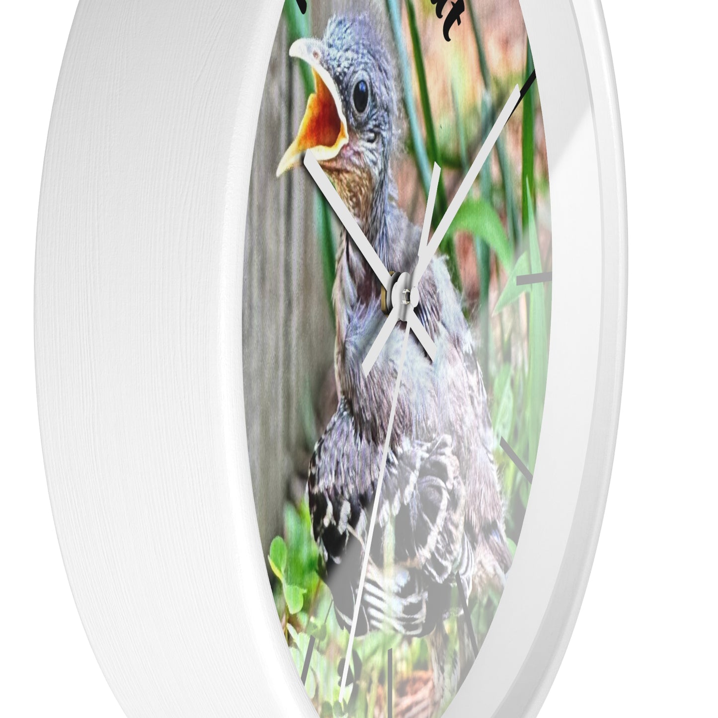 Nature-Inspired Wall Clock, Time to Eat Bird Clock, Home Decor for Bird Lovers, Gift for Nature Enthusiasts, Unique Wall Art