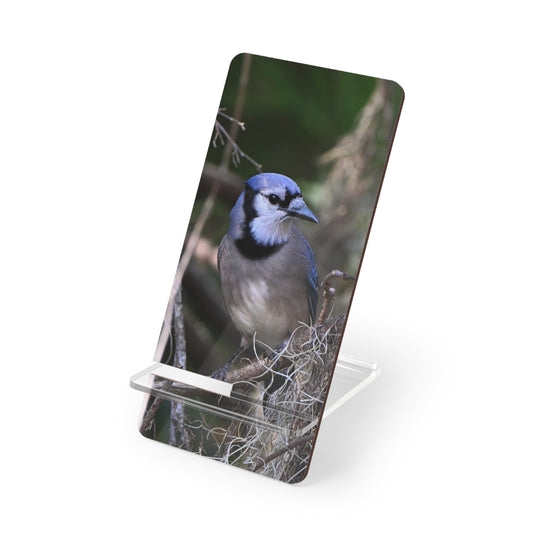 Blue Jay Photo Phone Stand — Clear Acrylic Mobile Display Stand