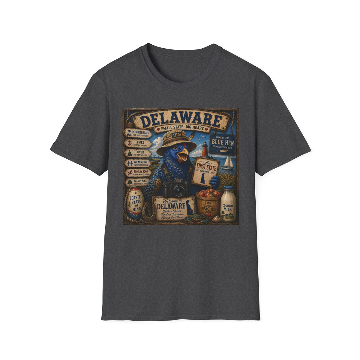 Delaware Blue Hen Vintage State Pride T-Shirt