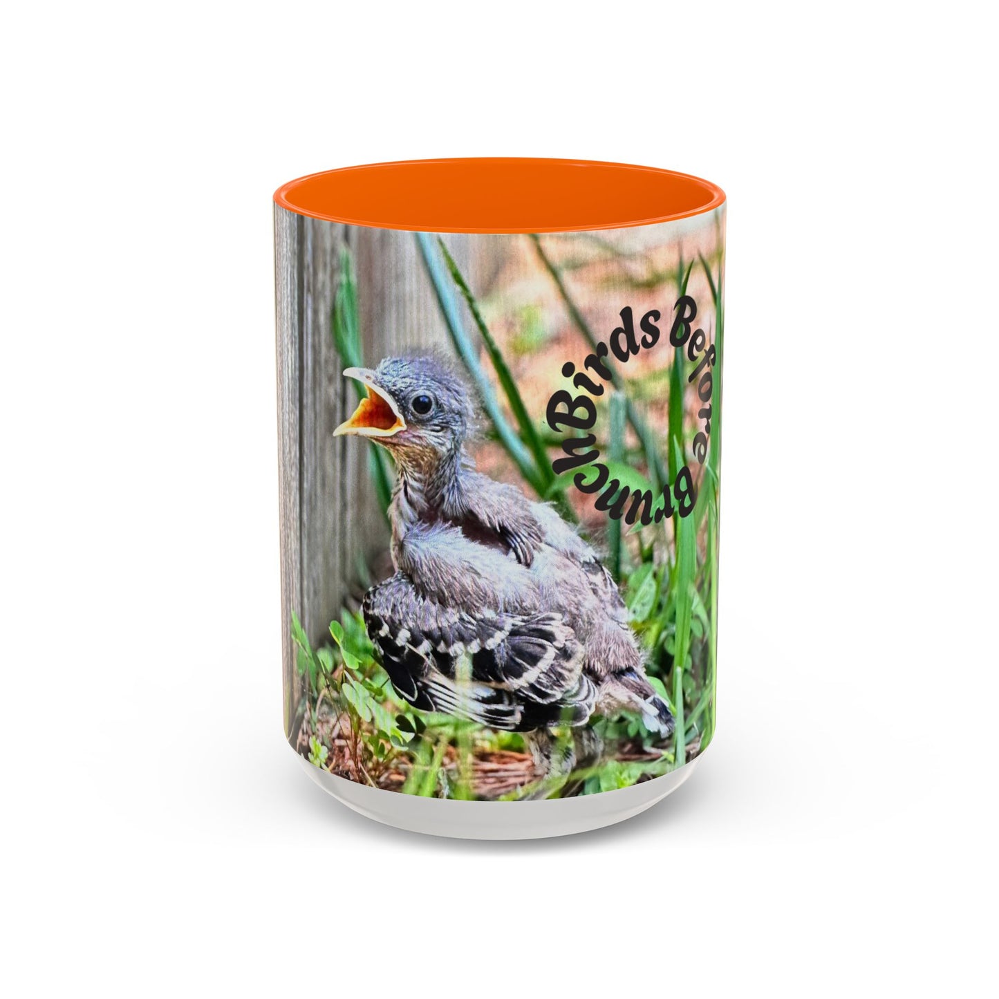 Charming Bird-Themed Coffee Mug, Perfect Gift for Bird Lovers, Nature Enthusiasts, Birdwatching, Home Decor, Birthday Present