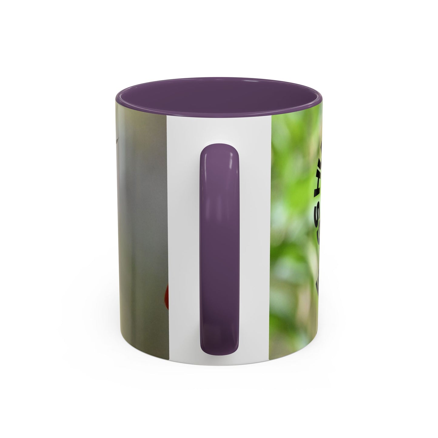 Hummingbird Accent Coffee Mug – 11/15oz Ceramic Mug with Black Interior & Handle