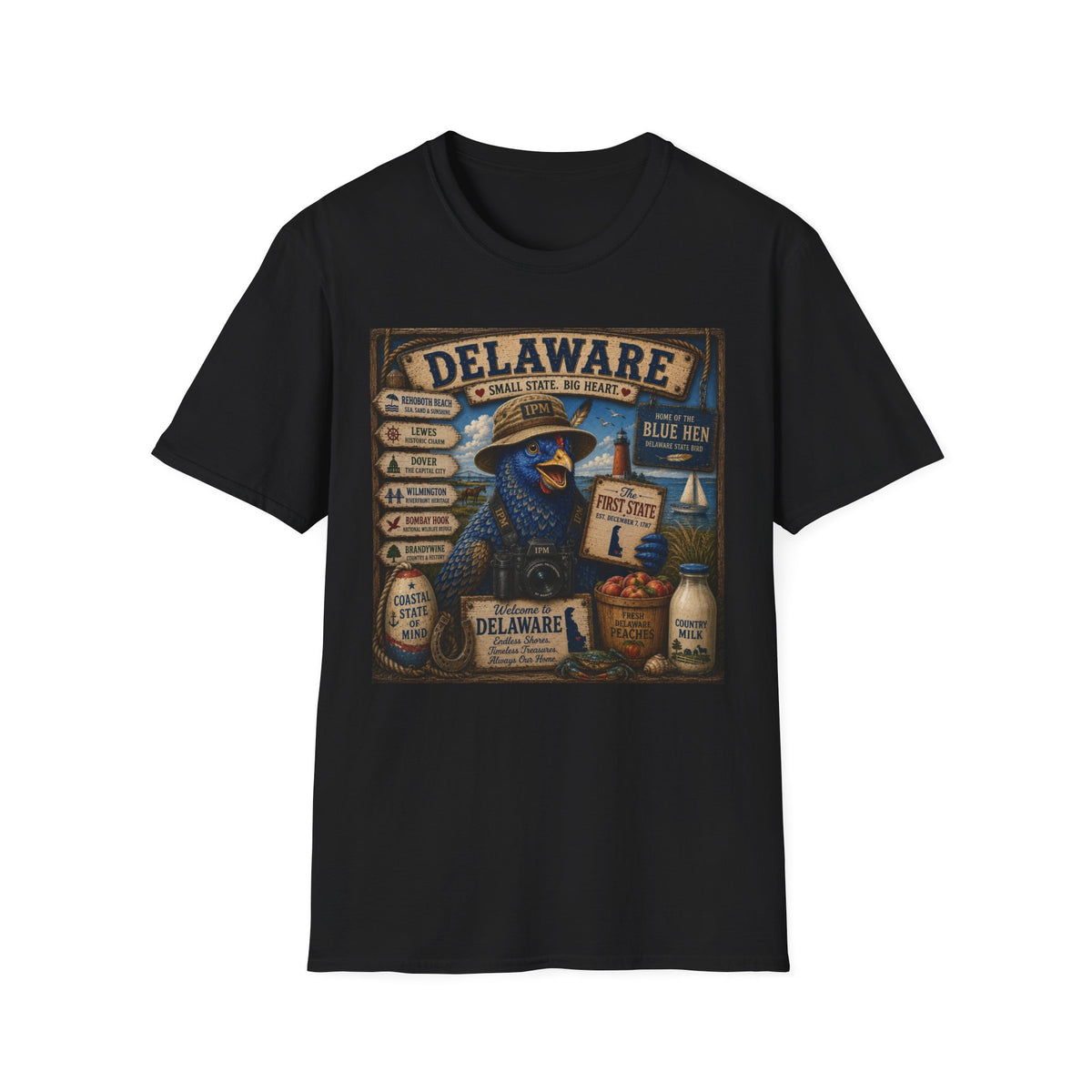 Delaware Blue Hen Vintage State Pride T-Shirt