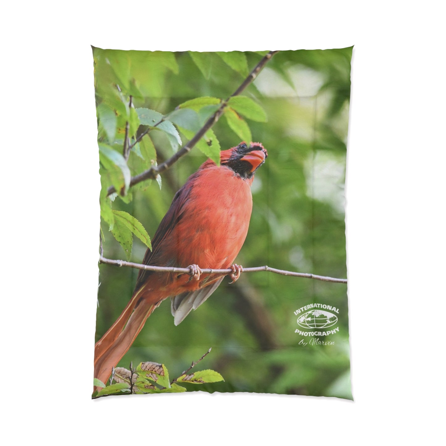 Cardinal Bird Comforter – Red Northern Cardinal Nature Print Bedding