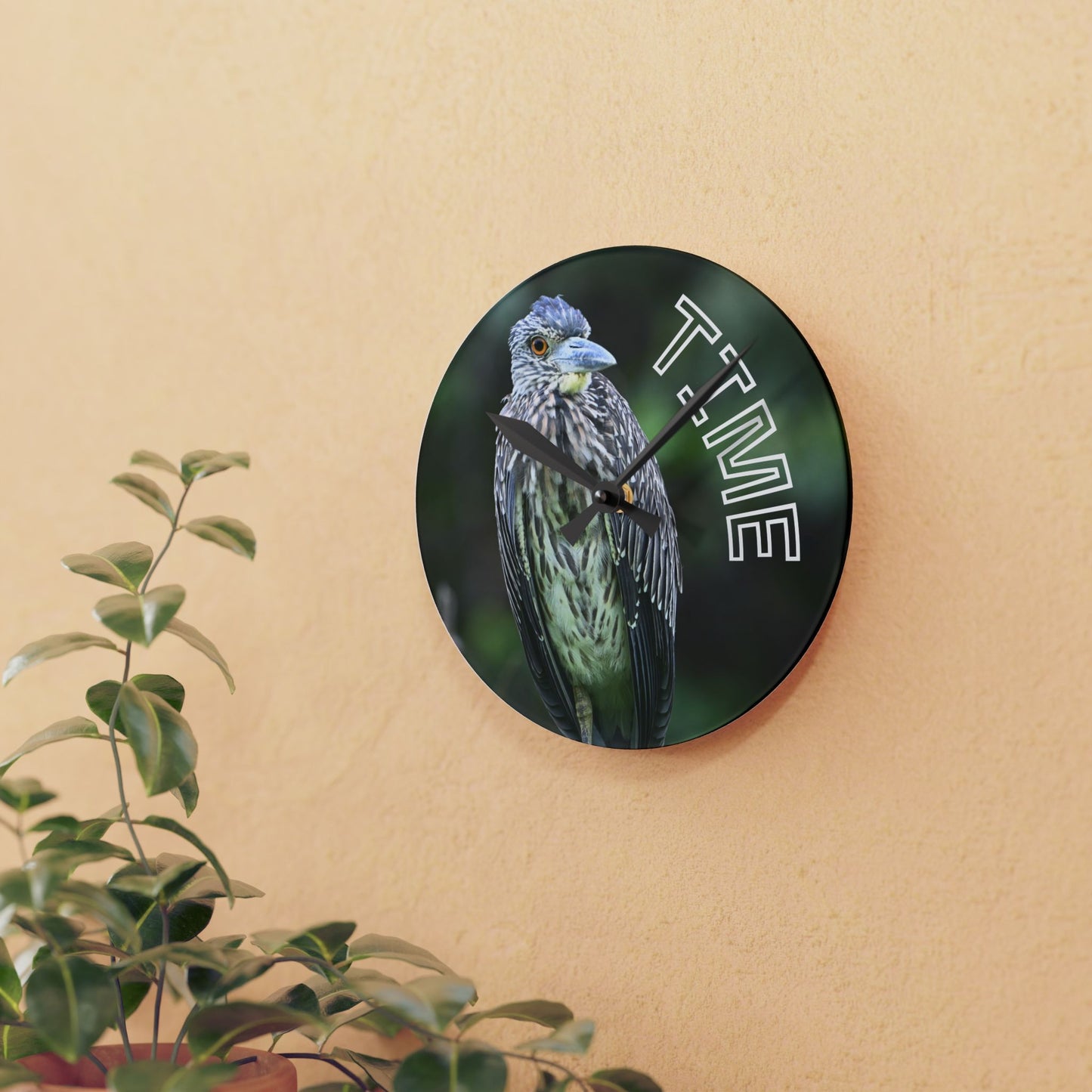 Acrylic Wall Clock — Bird Photo "TIME" Decorative Wall Clock for Nature Lovers